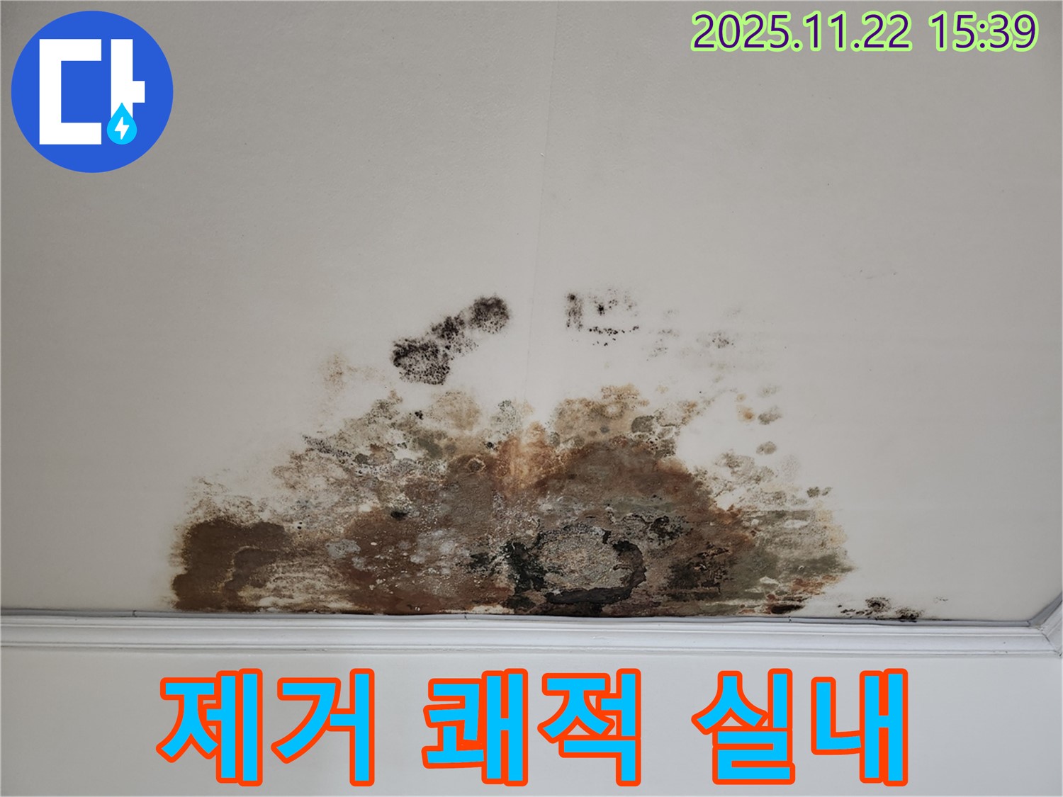 마포구 용강동 아파트 - 곰팡이 천장, 곰팡이 제거, 쾌적한 실내 환경 조성