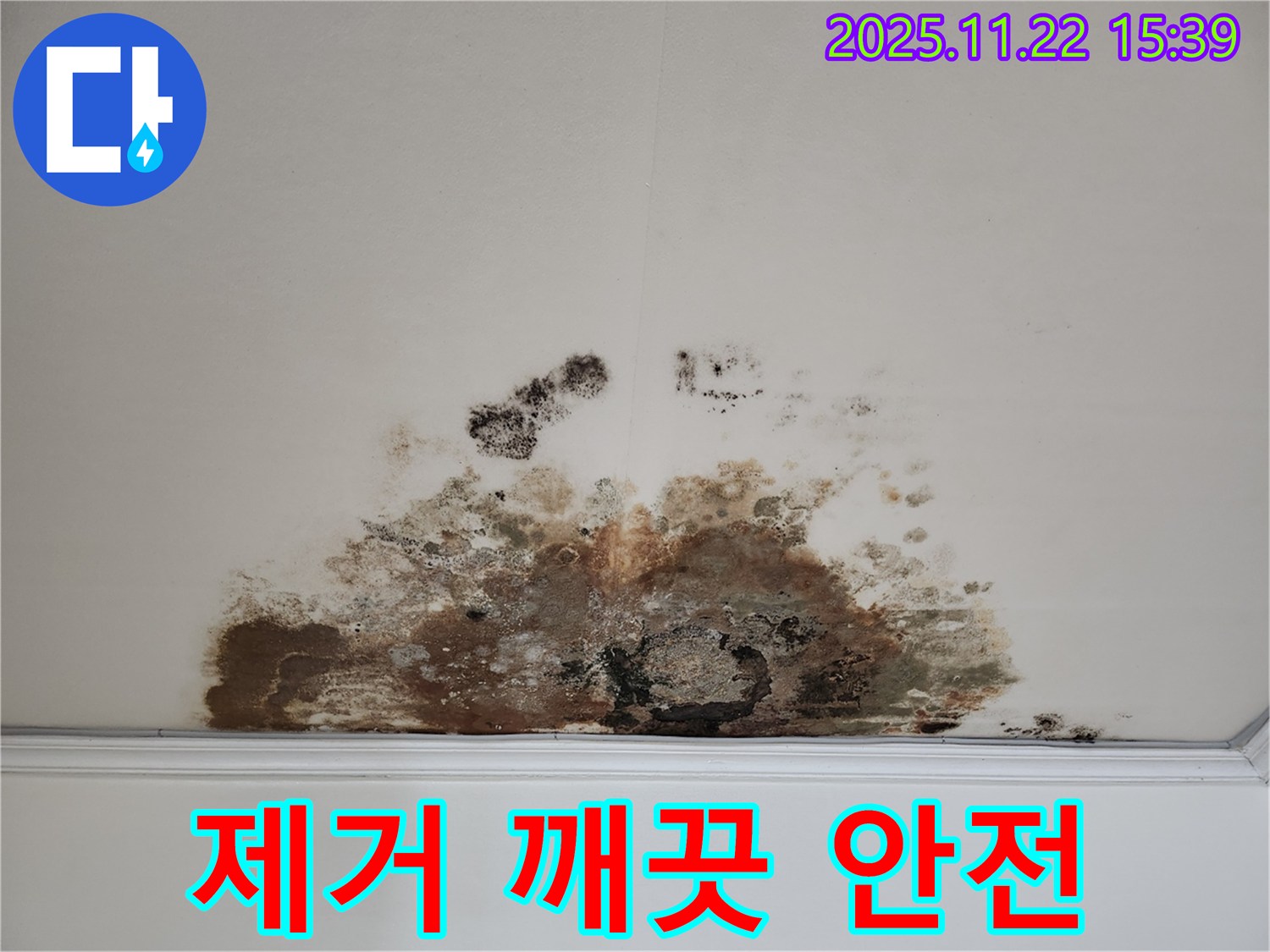 마포구 용강동 아파트 - 곰팡이 천장, 곰팡이 제거로 깨끗하고 안전한 우리 집