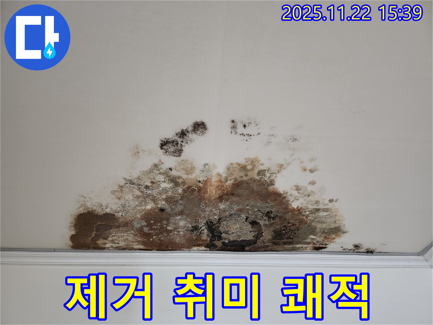 마포구 용강동 아파트 - 곰팡이 천장, 곰팡이 제거로 쾌적한 공간에서 즐거운 취미생활을