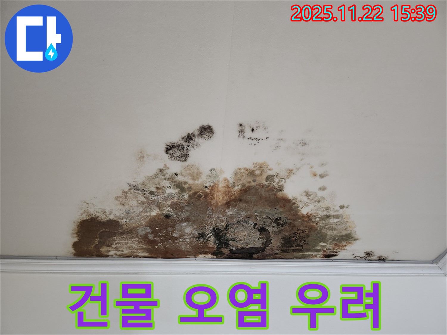 마포구 용강동 아파트 - 심각한 천장 곰팡이, 건물 전체 오염 우려