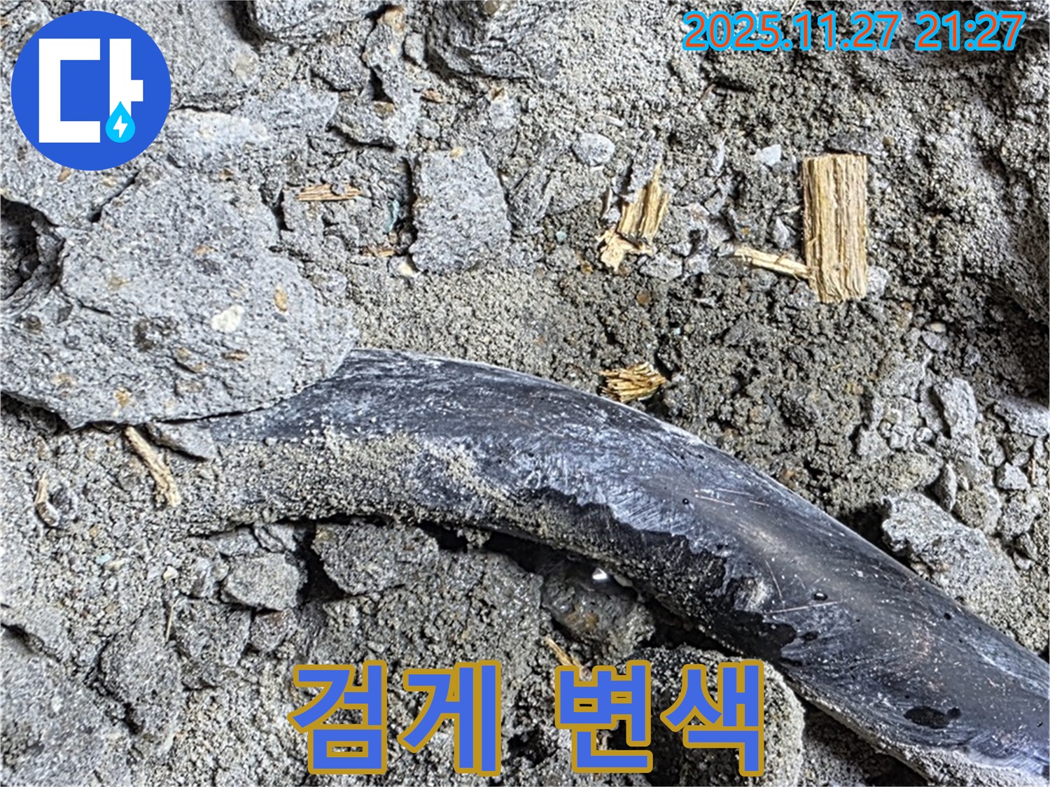 마포구 용강동 현대홈타운 - 젖은 흙과 검게 변색 - 누수 진행 중