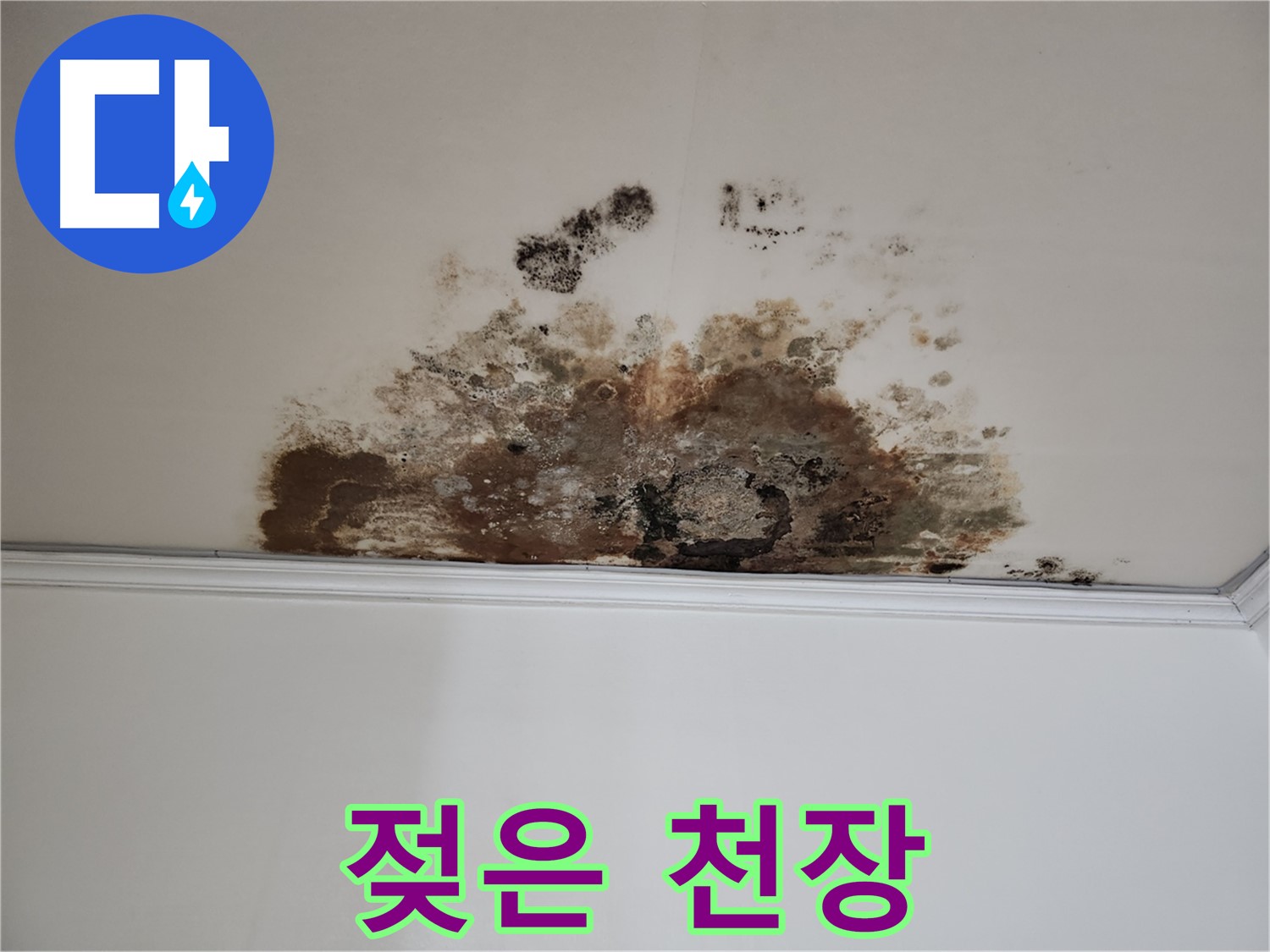 마포구 용강동 현대홈타운 천장 누수 - 젖어있는 천장