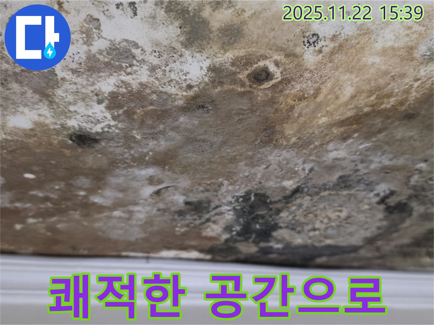 마포구 천장 누수 - 곰팡이 문제, 완벽 해결, 쾌적한 공간
