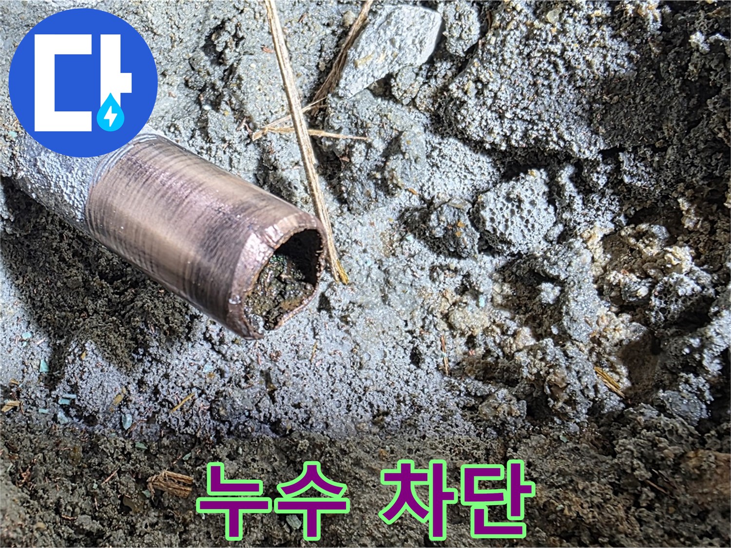 마포 용강동 현대홈타운 누수 - 텅 비어버린 동관의 슬픈 외침 - 긴급 점검과 교체가 필요합니다.