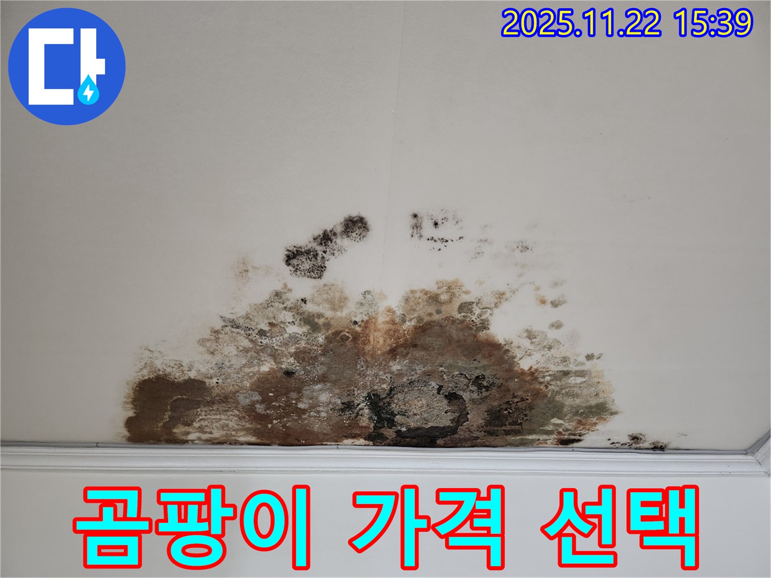 새창로 72 아파트 - 곰팡이 천장, 합리적인 가격으로 최고의 선택