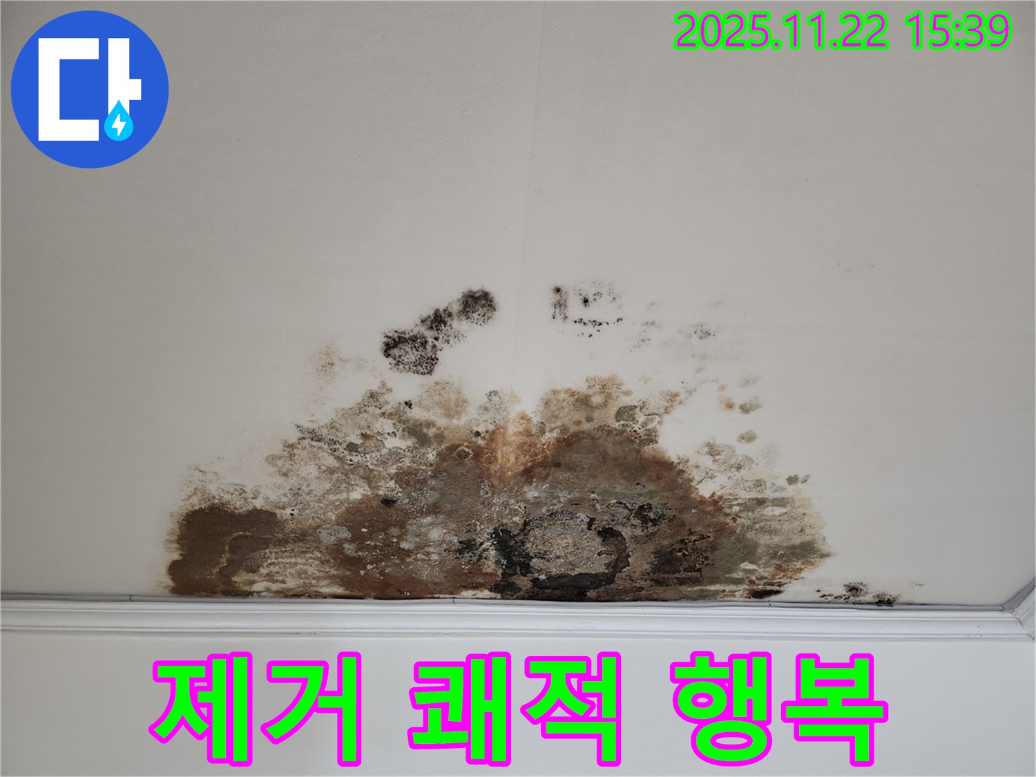 새창로 아파트 - 곰팡이 천장, 곰팡이 제거로 쾌적한 환경에서 행복한 생활을