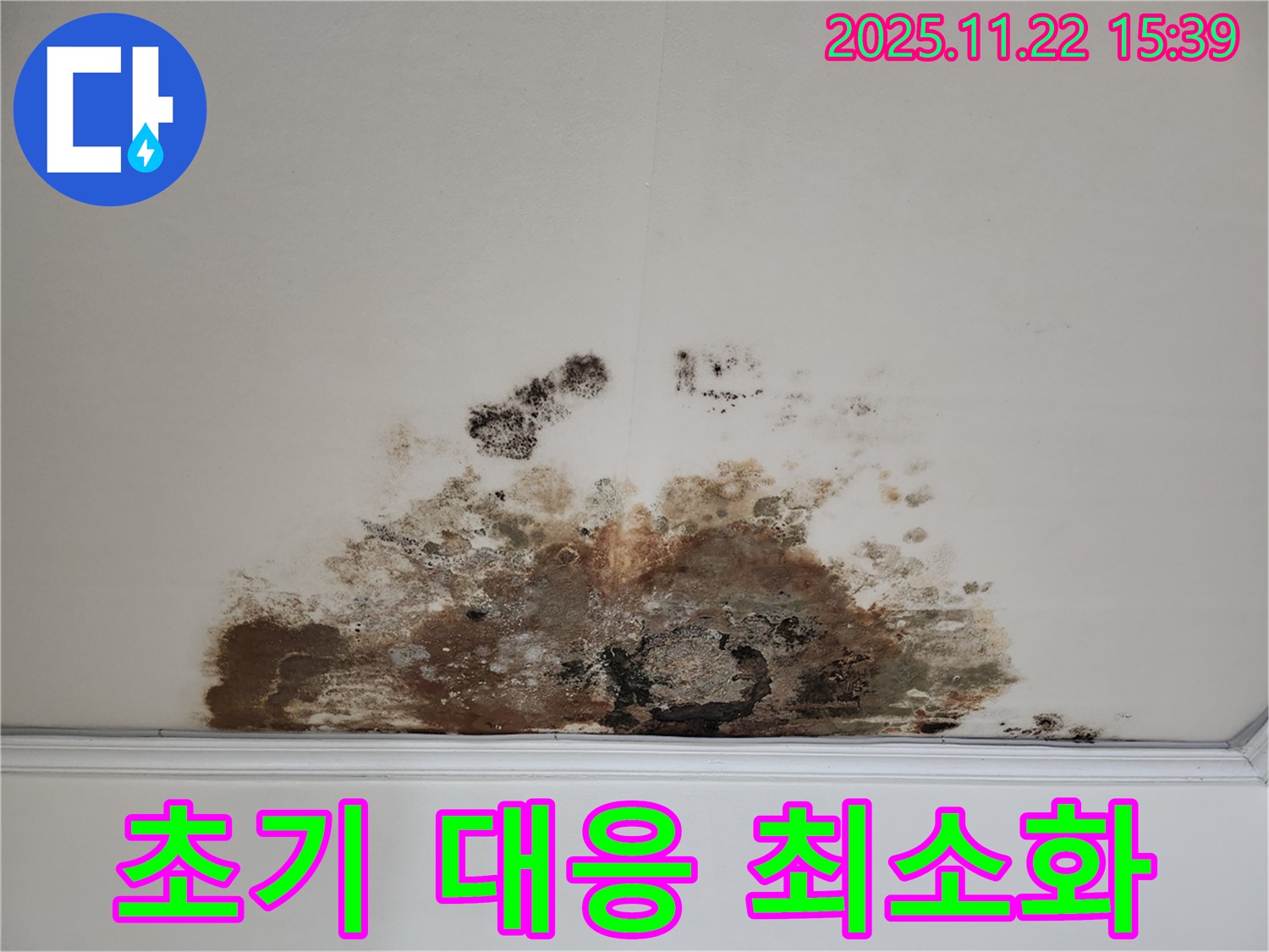 새창로 아파트 - 곰팡이 천장, 누수 초기 대응으로 피해 최소화