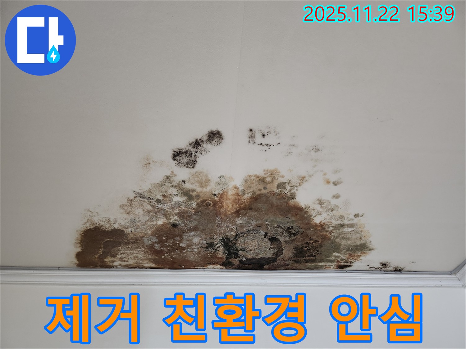 새창로 현대홈타운 아파트 - 곰팡이 천장, 곰팡이 제거, 친환경 시공으로 안심