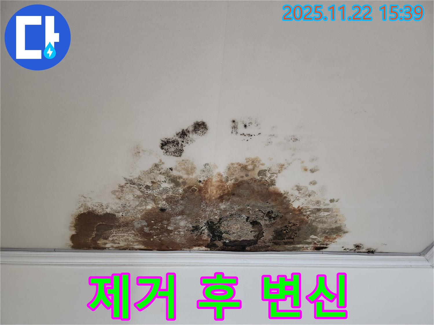 새창로 현대홈타운 아파트 - 곰팡이 천장, 곰팡이 제거 후 깨끗한 천장으로 변신