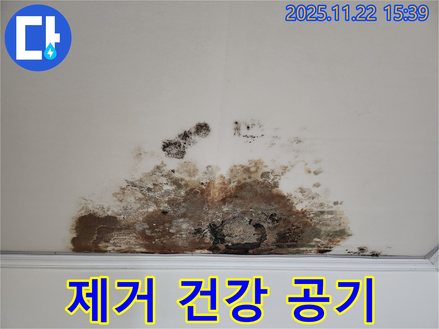 새창로 현대홈타운 아파트 - 곰팡이 천장, 곰팡이 제거로 건강한 실내 공기 유지