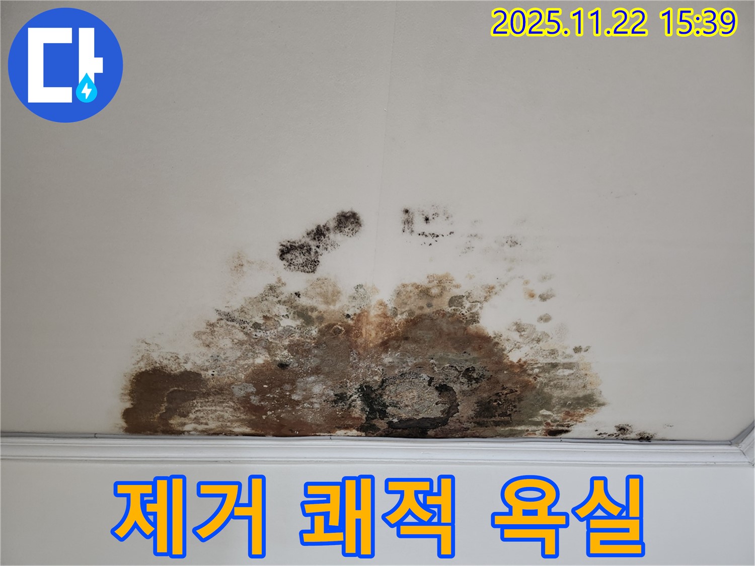 새창로 현대홈타운 아파트 - 곰팡이 천장, 곰팡이 제거로 쾌적한 욕실 환경 조성
