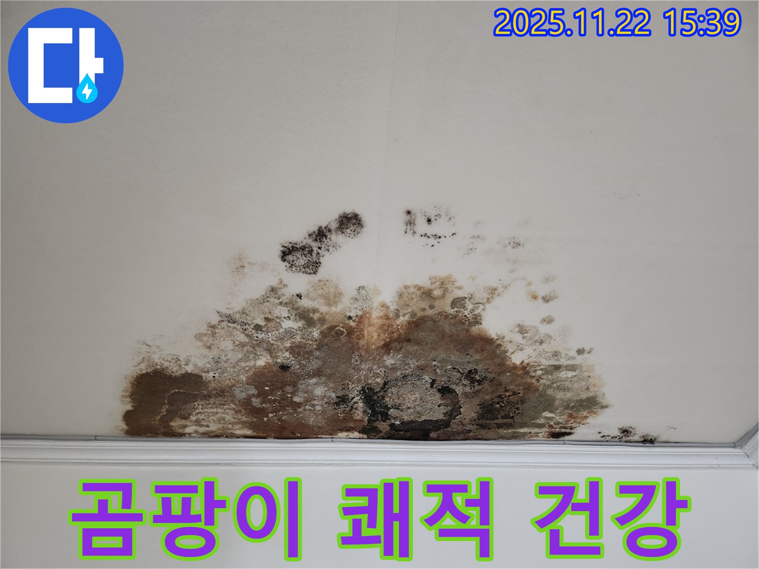 새창로 현대홈타운 아파트 - 곰팡이 천장, 쾌적한 환경에서 건강한 생활을