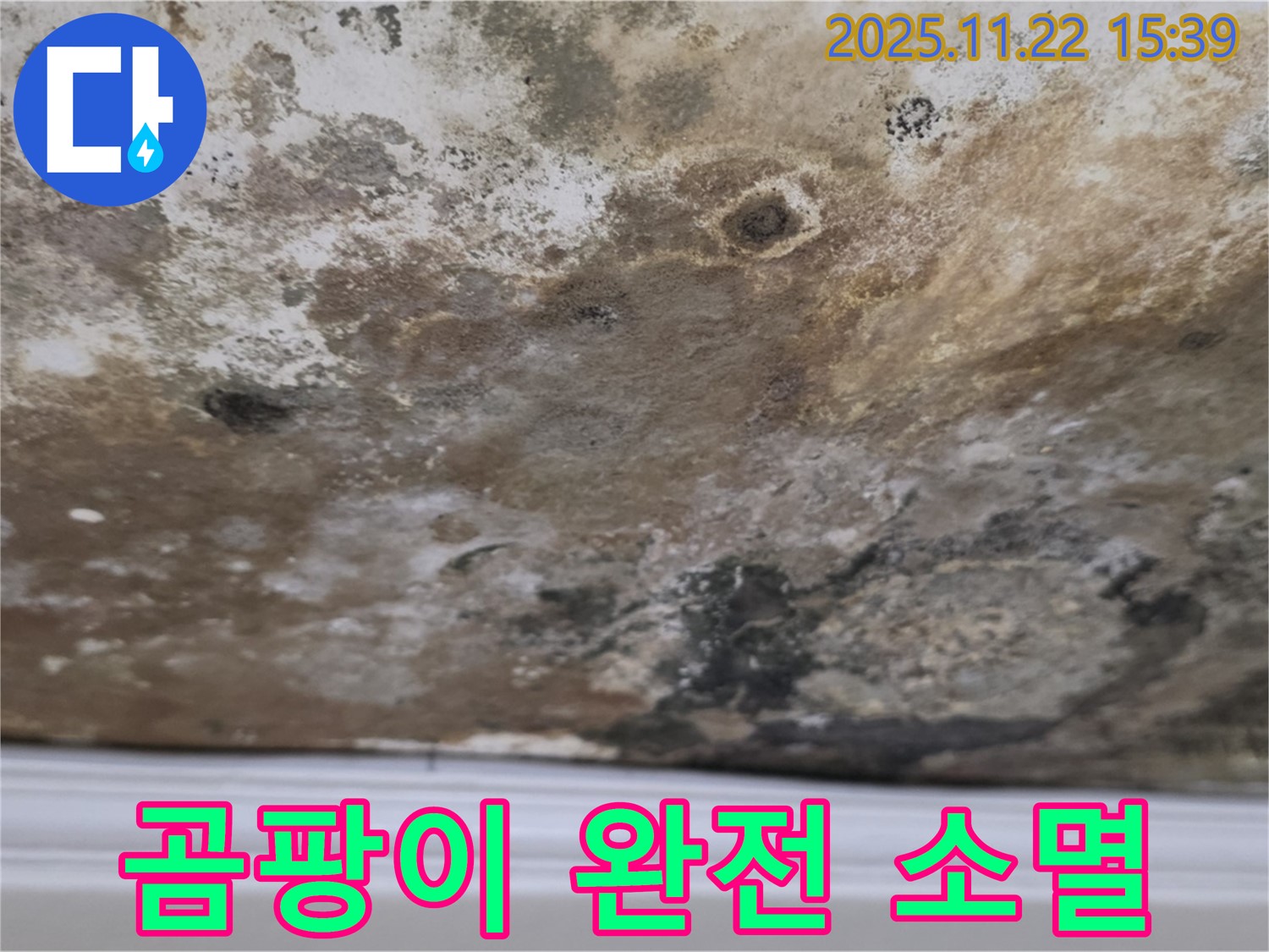 새창로8길 누수 - 곰팡이 완전 소멸, 깨끗한 천장 만들기 프로젝트!