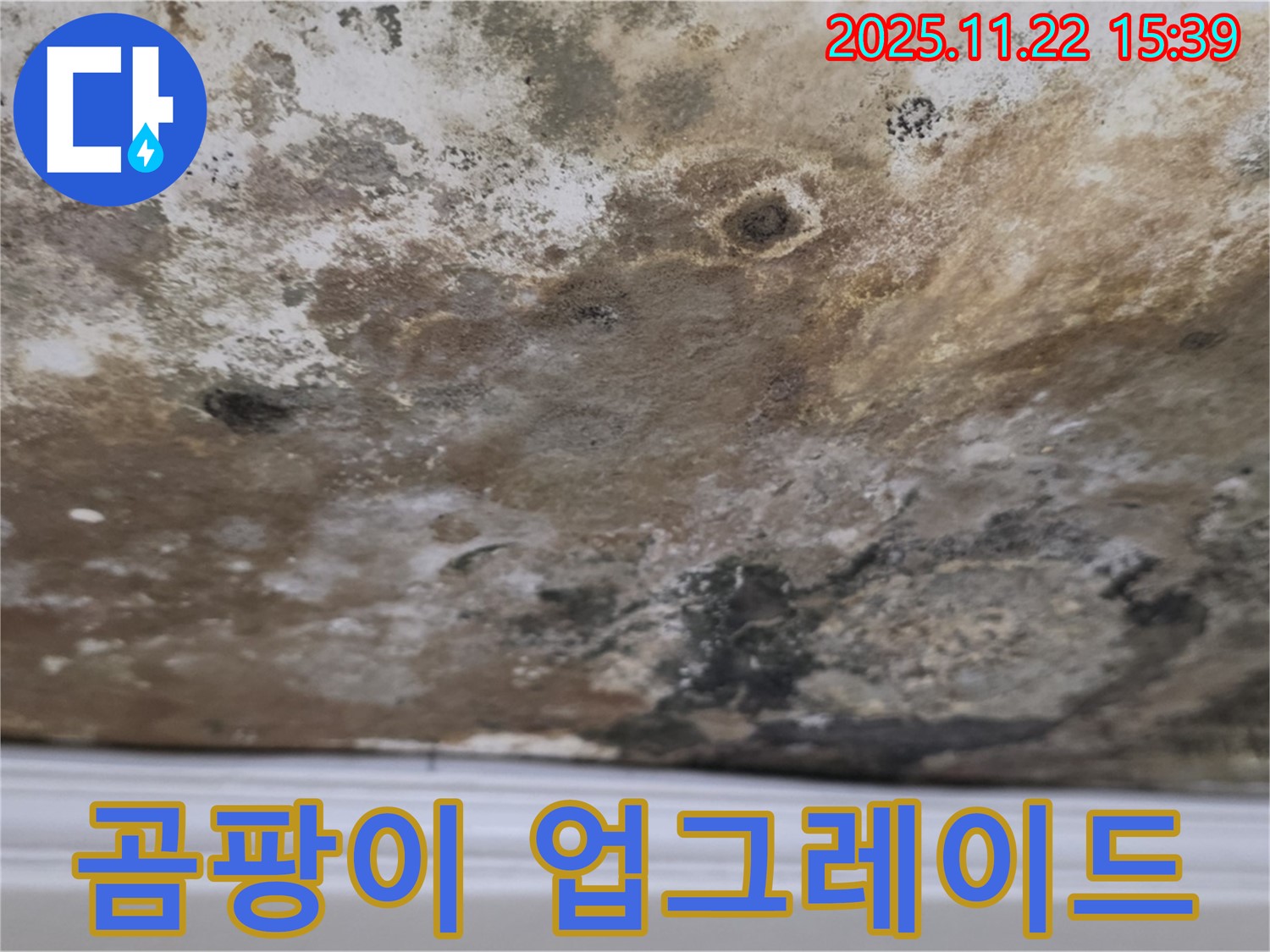 새창로8길 누수 - 곰팡이 제로, 깨끗하고 안전한 천장 업그레이드!