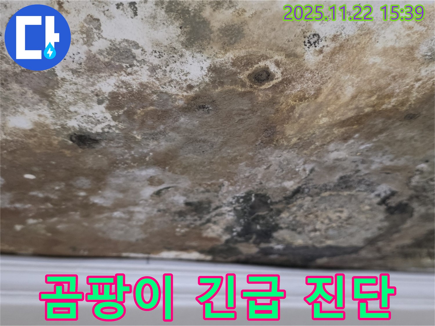 새창로8길 누수 - 곰팡이 천장, 긴급 진단!