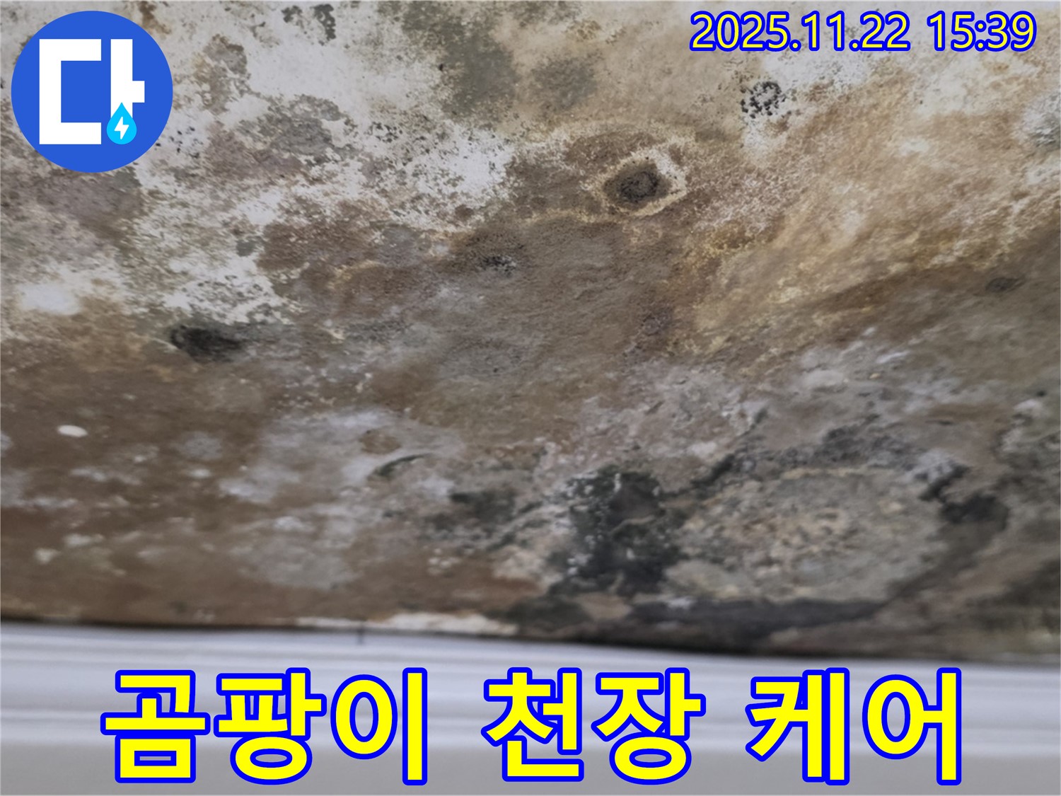 새창로8길 현대홈타운 - 곰팡이 공포, 천장 안심 케어 서비스!