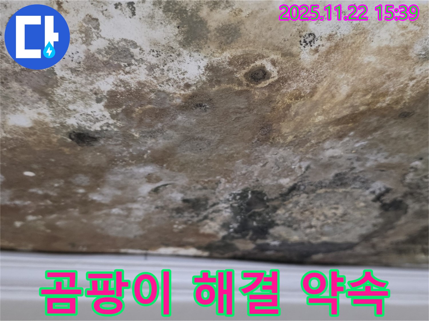 새창로8길 현대홈타운 - 곰팡이 천장, 완벽 해결 약속!