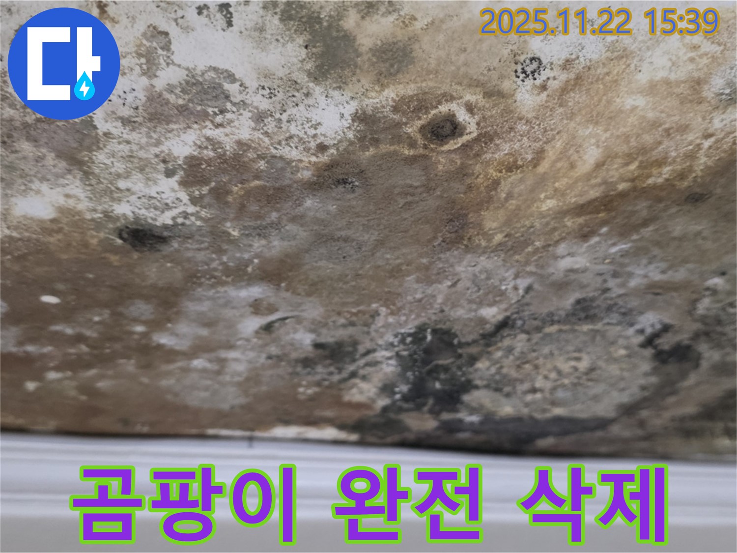 용강동 누수 - 곰팡이 완전 삭제, 깨끗한 공간으로 리부트!