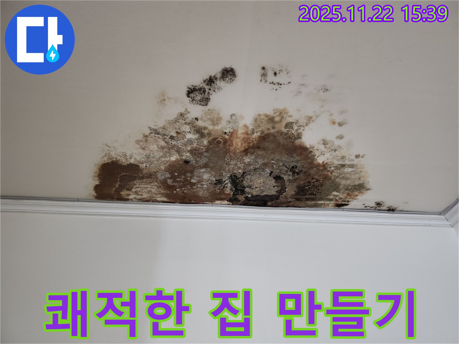 용강동 새창로8길 누수 - 곰팡이 박멸, 현대홈타운 쾌적한 우리 집