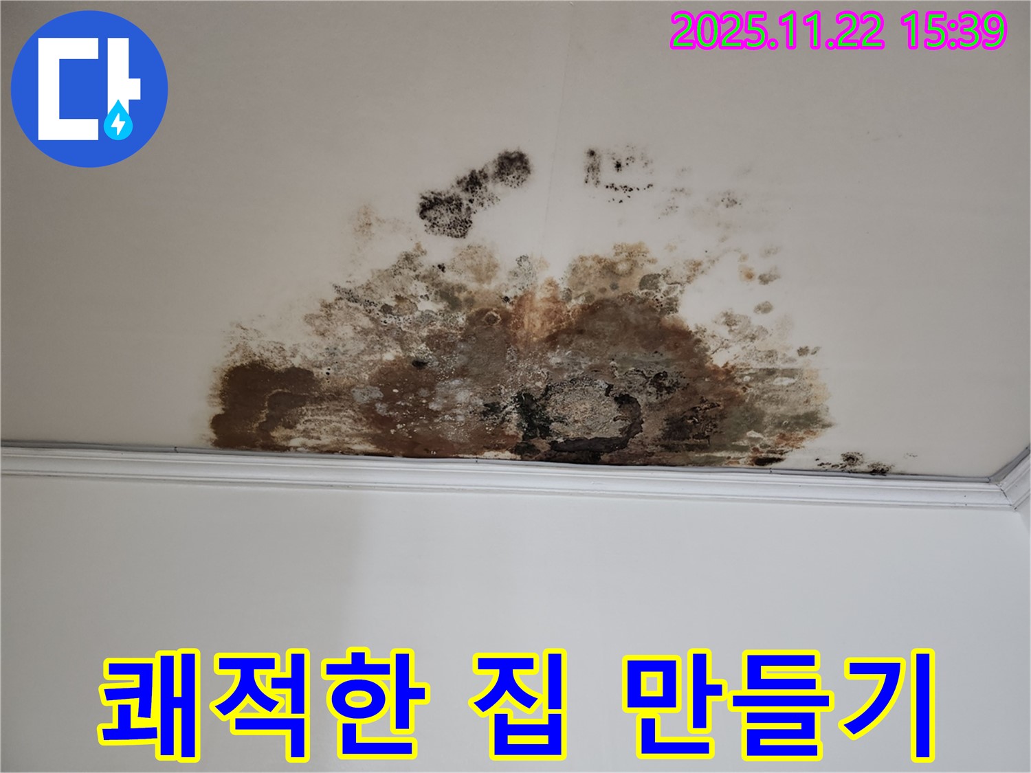 용강동 새창로8길 누수 - 곰팡이 박멸, 현대홈타운 쾌적한 우리 집