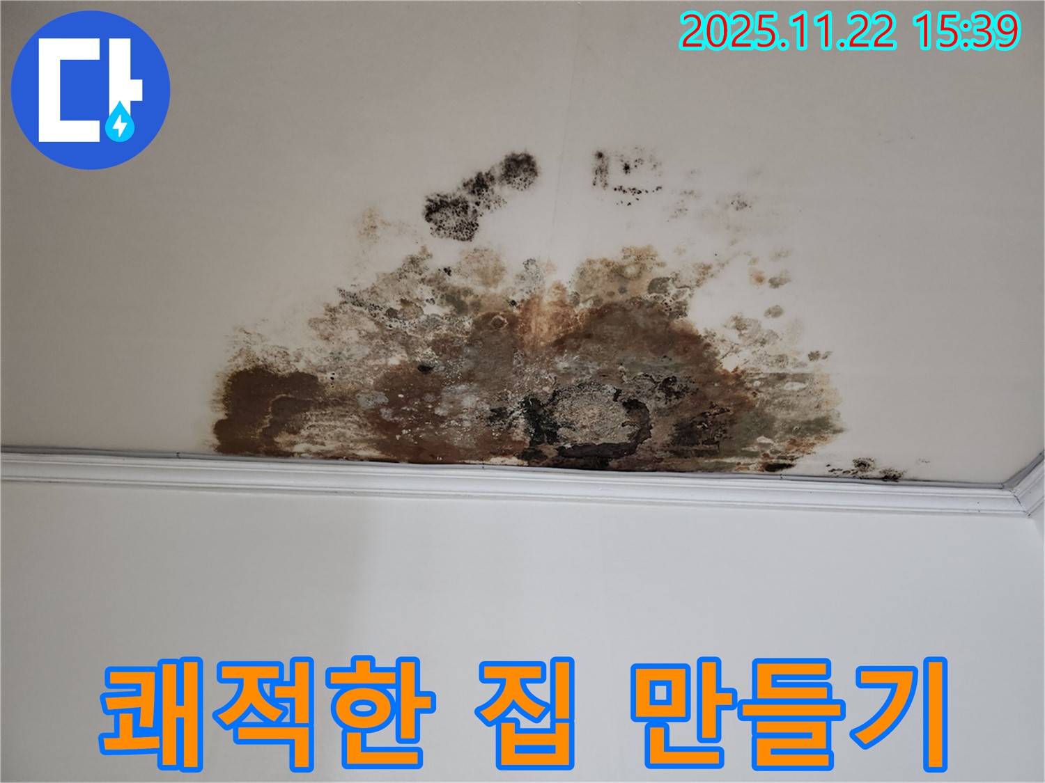 용강동 새창로8길 누수 - 곰팡이 박멸, 현대홈타운 쾌적한 우리 집