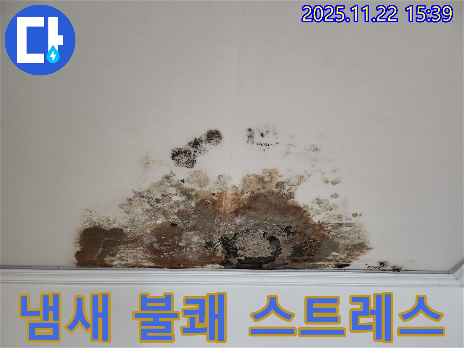 용강동 아파트 - 곰팡이 천장, 곰팡이 냄새로 불쾌지수 상승 및 스트레스 유발