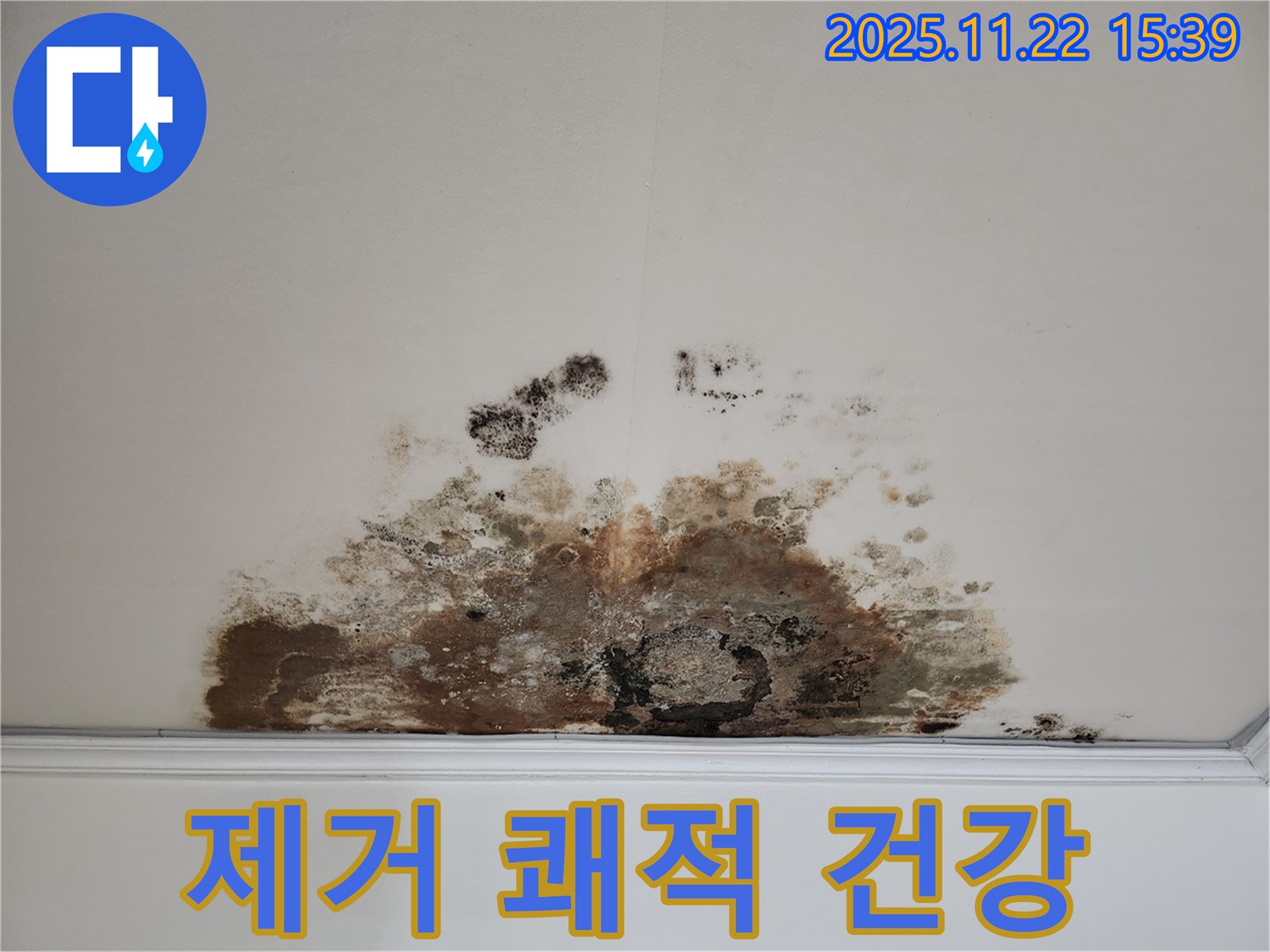 용강동 아파트 - 곰팡이 천장, 곰팡이 제거로 쾌적한 환경에서 건강한 삶을
