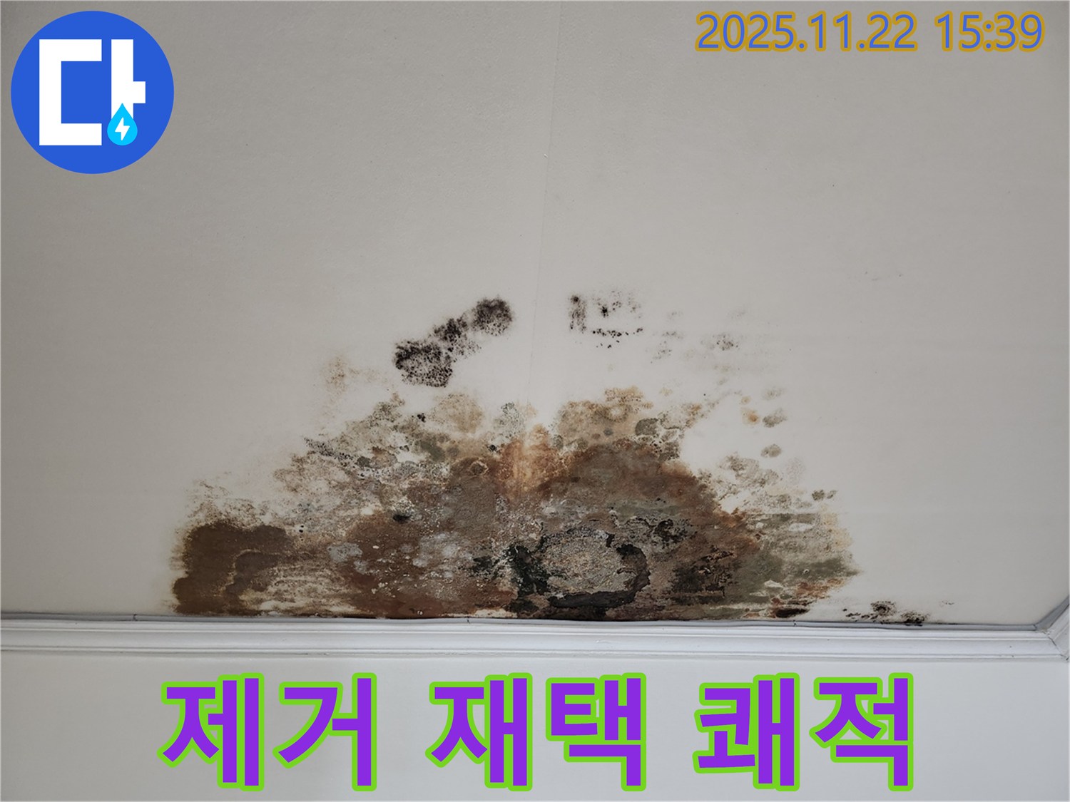 용강동 아파트 - 곰팡이 천장, 곰팡이 제거로 쾌적한 환경에서 편안한 재택근무를
