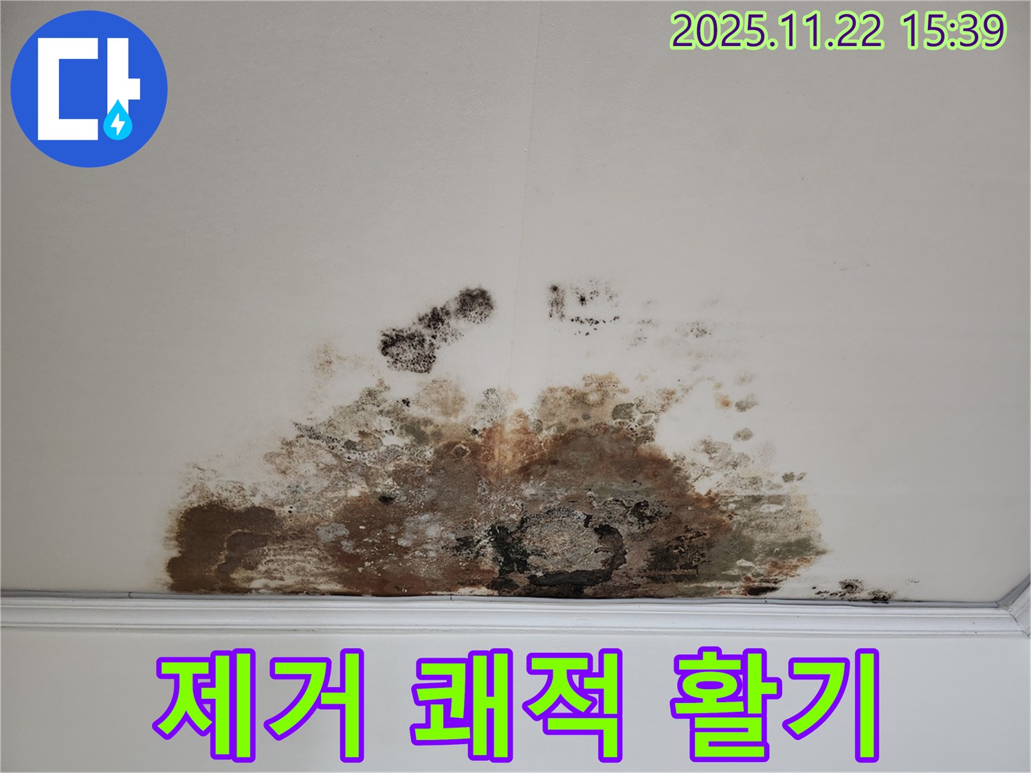 용강동 아파트 - 곰팡이 천장, 곰팡이 제거로 쾌적한 환경에서 활기찬 하루를