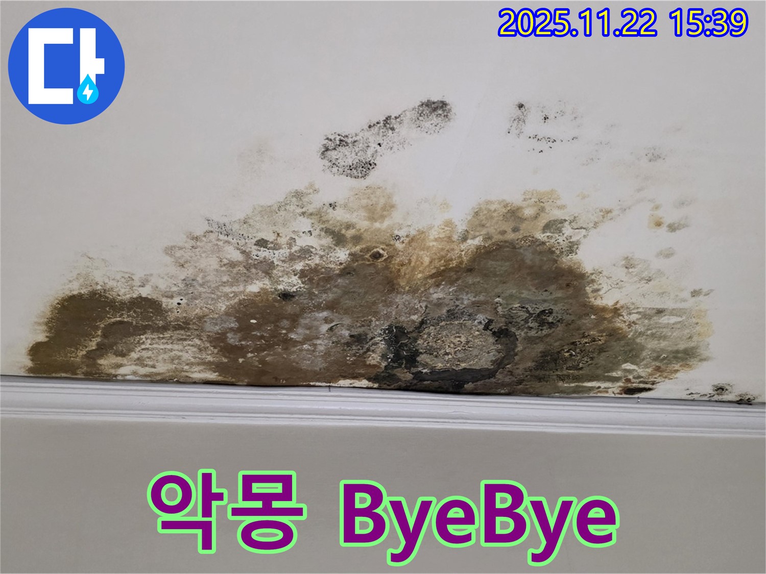 용강동 아파트 누수 - 곰팡이와의 악몽 ByeBye, 쾌적한 공간에서 행복 충전 완료!