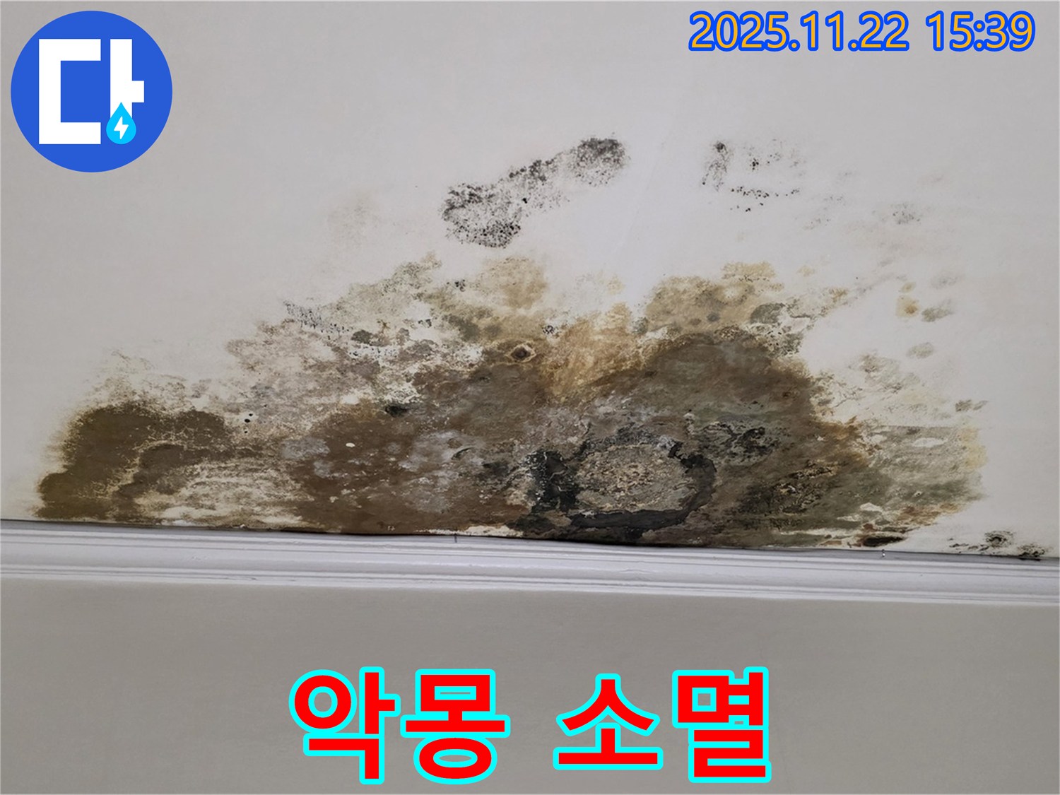 용강동 아파트 누수 - 곰팡이와의 악몽 완전 소멸! 쾌적한 공간에서 힐링 만끽