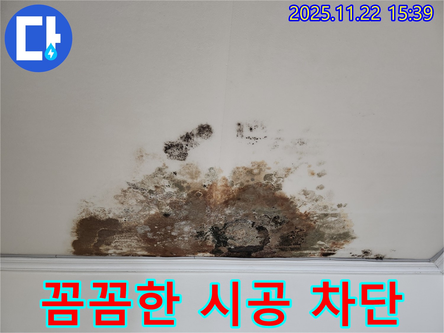 용강동 아파트 천장 - 곰팡이 누수, 꼼꼼한 시공으로 완벽 차단
