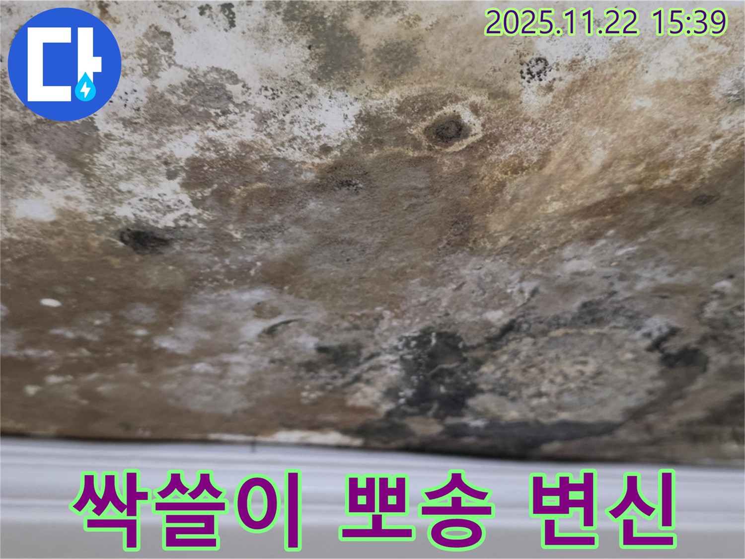 용강동 현대홈타운 - 곰팡이 싹쓸이, 뽀송뽀송한 공간으로 완벽 변신!