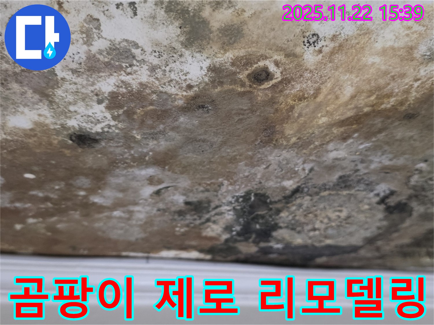 용강동 현대홈타운 - 곰팡이 제로, 뽀송뽀송한 공간으로 리모델링!