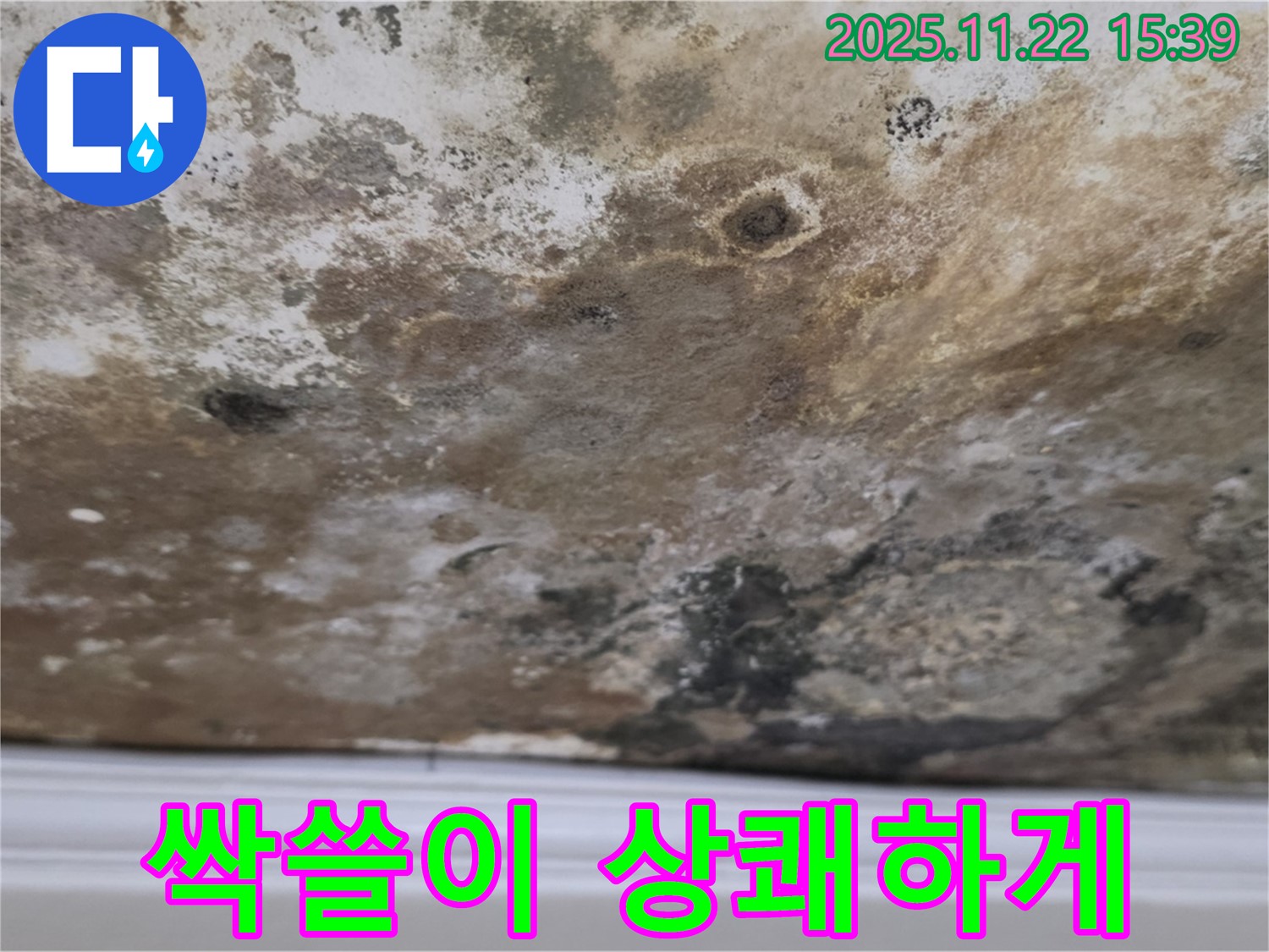용강동 현대홈타운 - 곰팡이 천장, 싹쓸이 후 상쾌한 공간으로