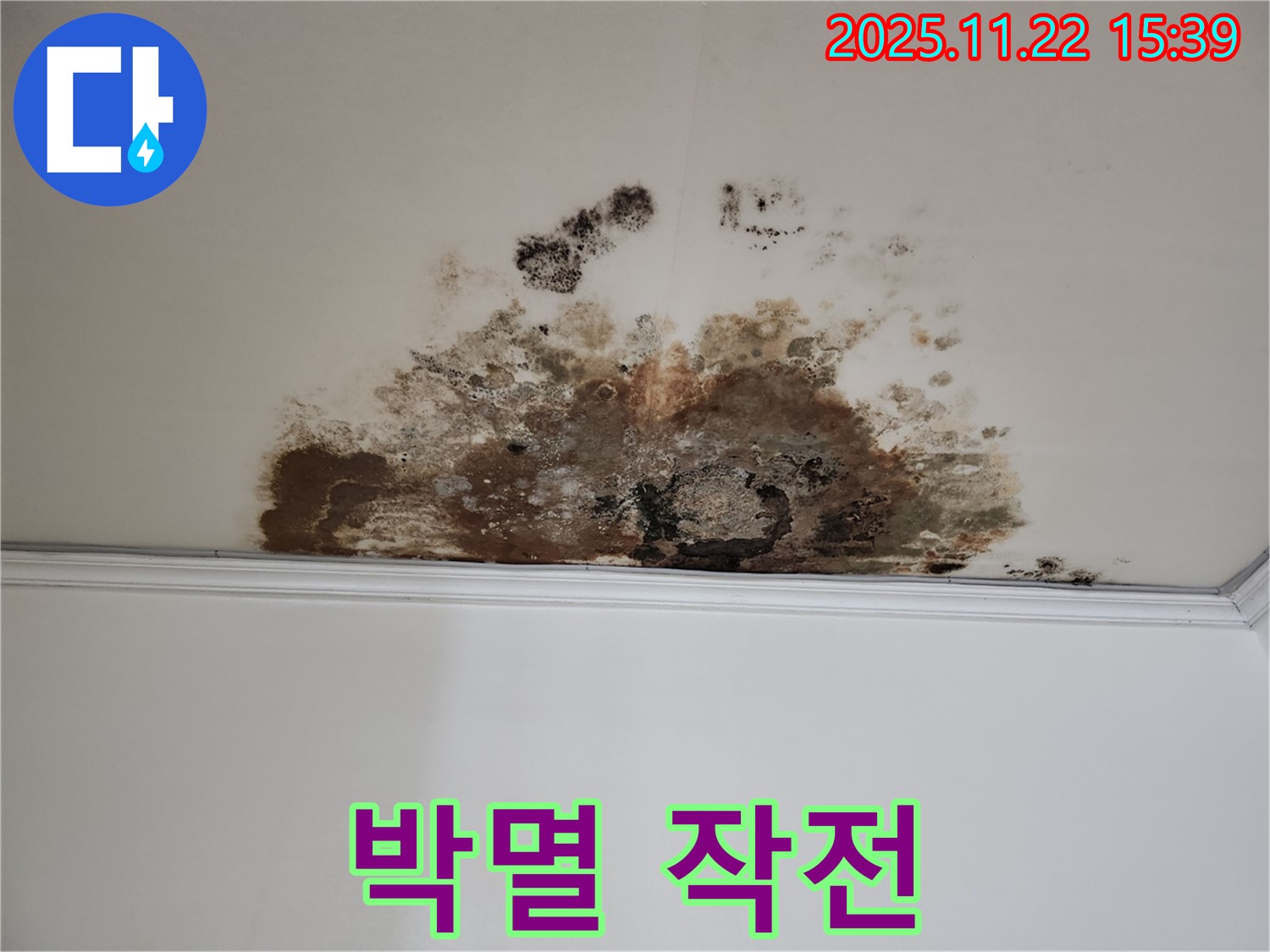 용강동 현대홈타운 새창로8길 누수 - 곰팡이 박멸 작전, 고객 만족