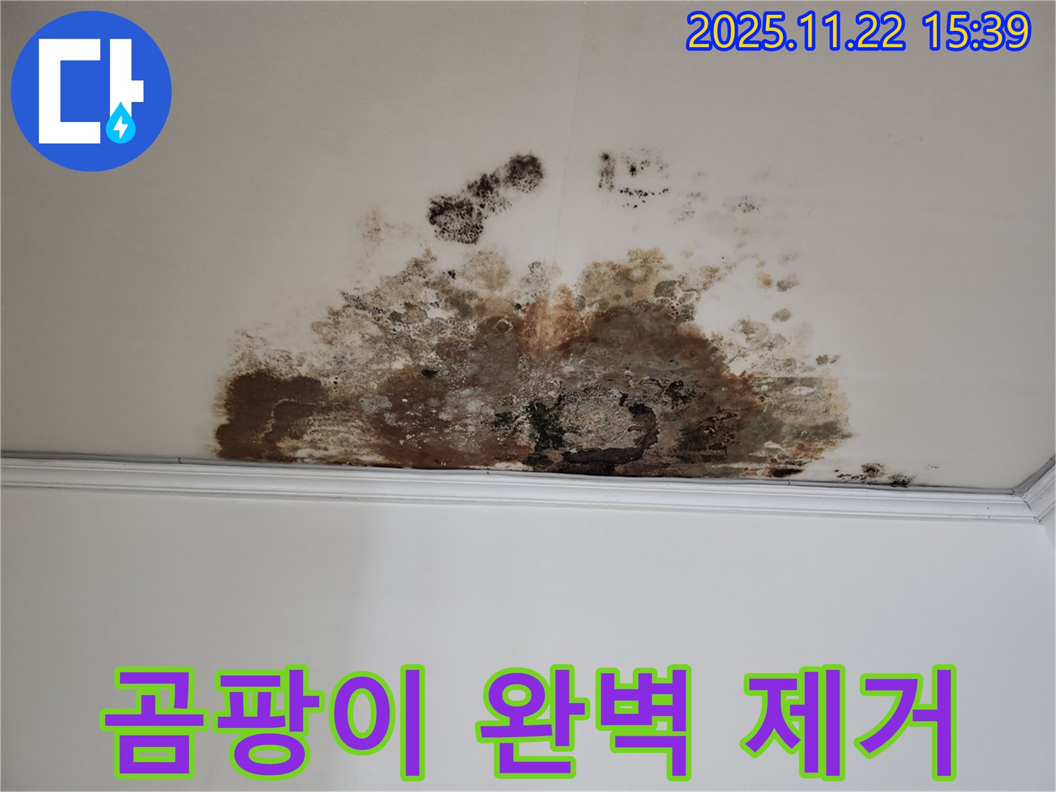 용강동 현대홈타운 새창로8길 누수 - 곰팡이 완벽 제거, 고객 만족