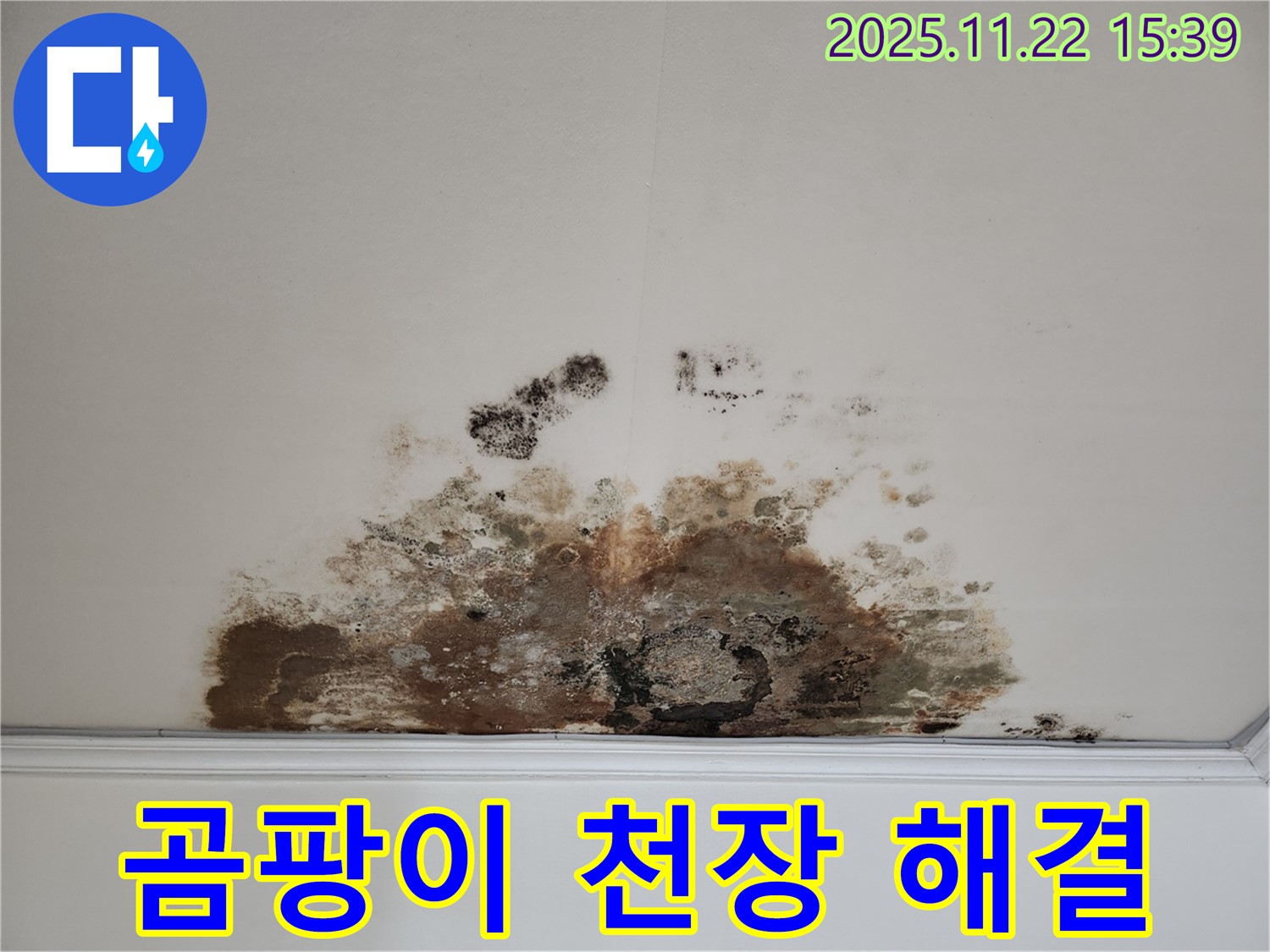 용강동 현대홈타운 아파트 - 곰팡이 천장, 완벽 해결! 쾌적한 보금자리로