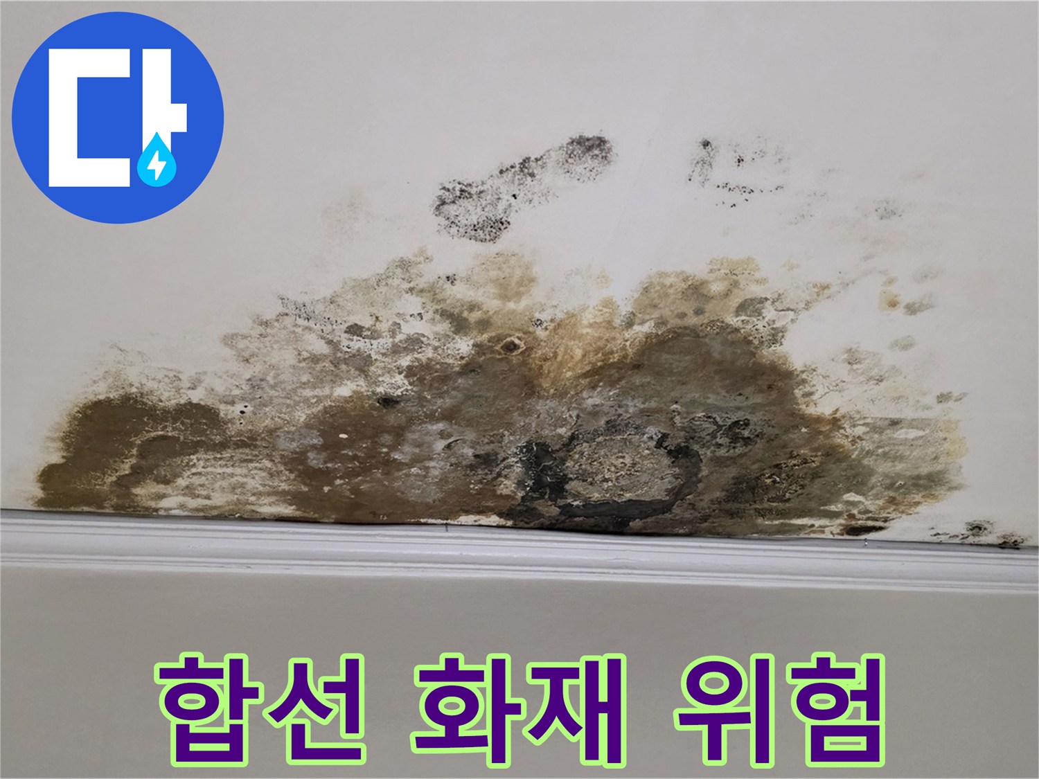 용강동 현대홈타운 아파트 누수 - 곰팡이 - 곰팡이 - 전기 합선 - 화재 위험 유발