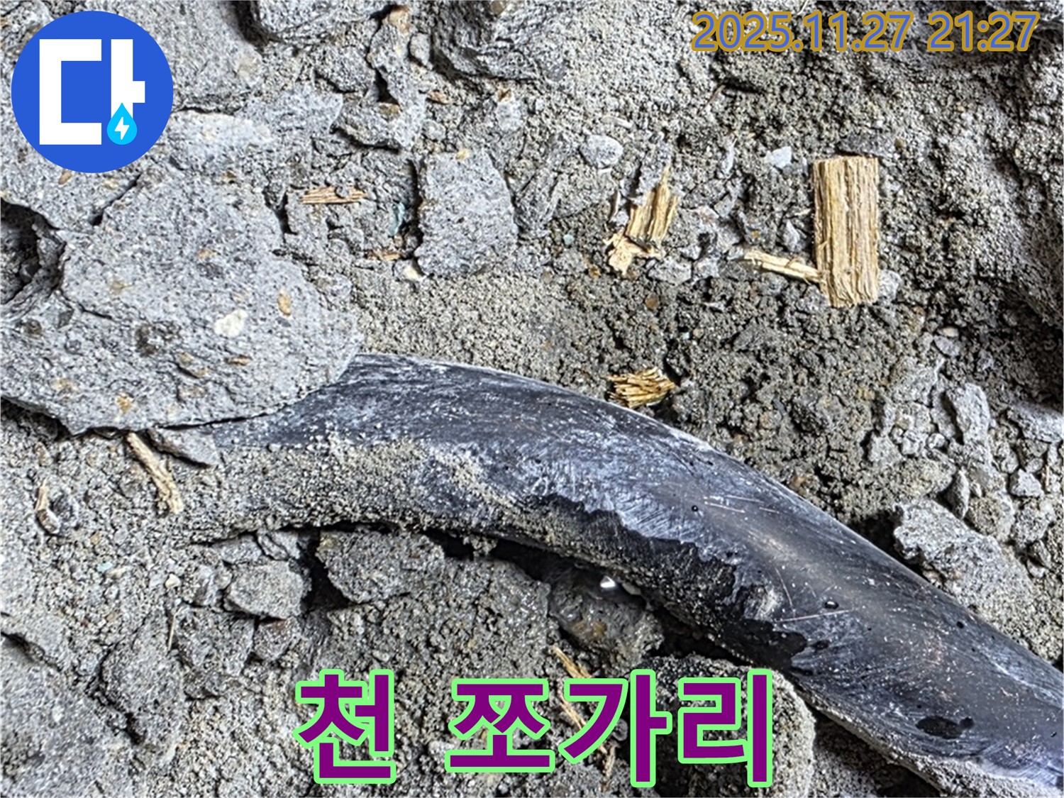 용강동 현대홈타운 - 천 쪼가리 - 습기 머금고 곰팡이 서식