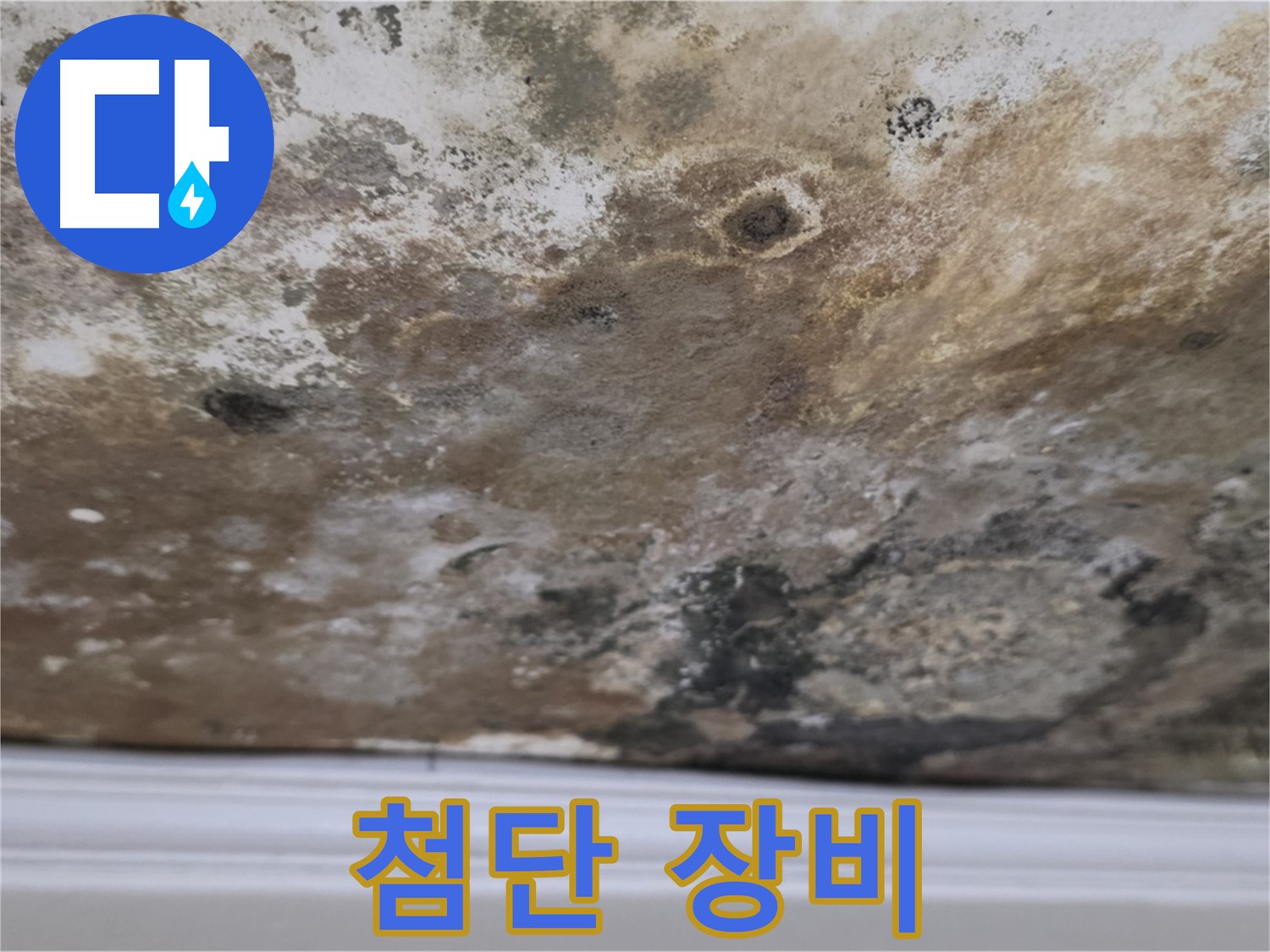첨단 장비 - 최신 누수 탐지 장비를 사용하는 모습입니다.