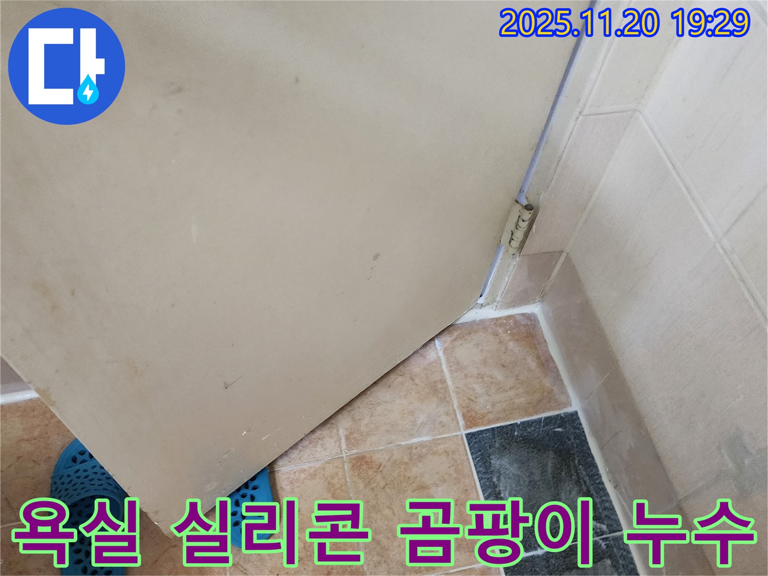 가산면 욕실 실리콘 곰팡이 - 누수 의심