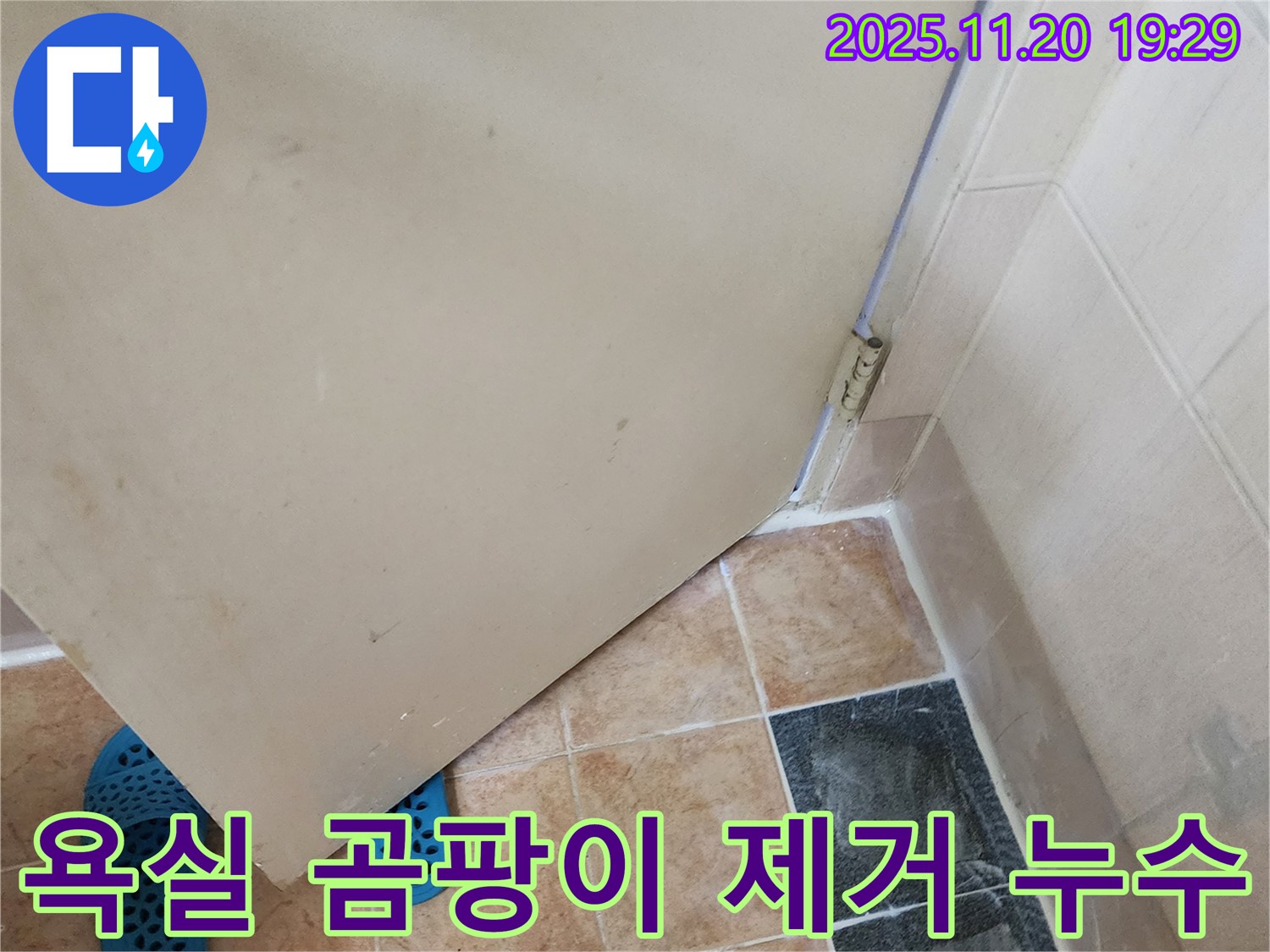 포천시 가산면 욕실 - 곰팡이 제거, 누수 해결 우선