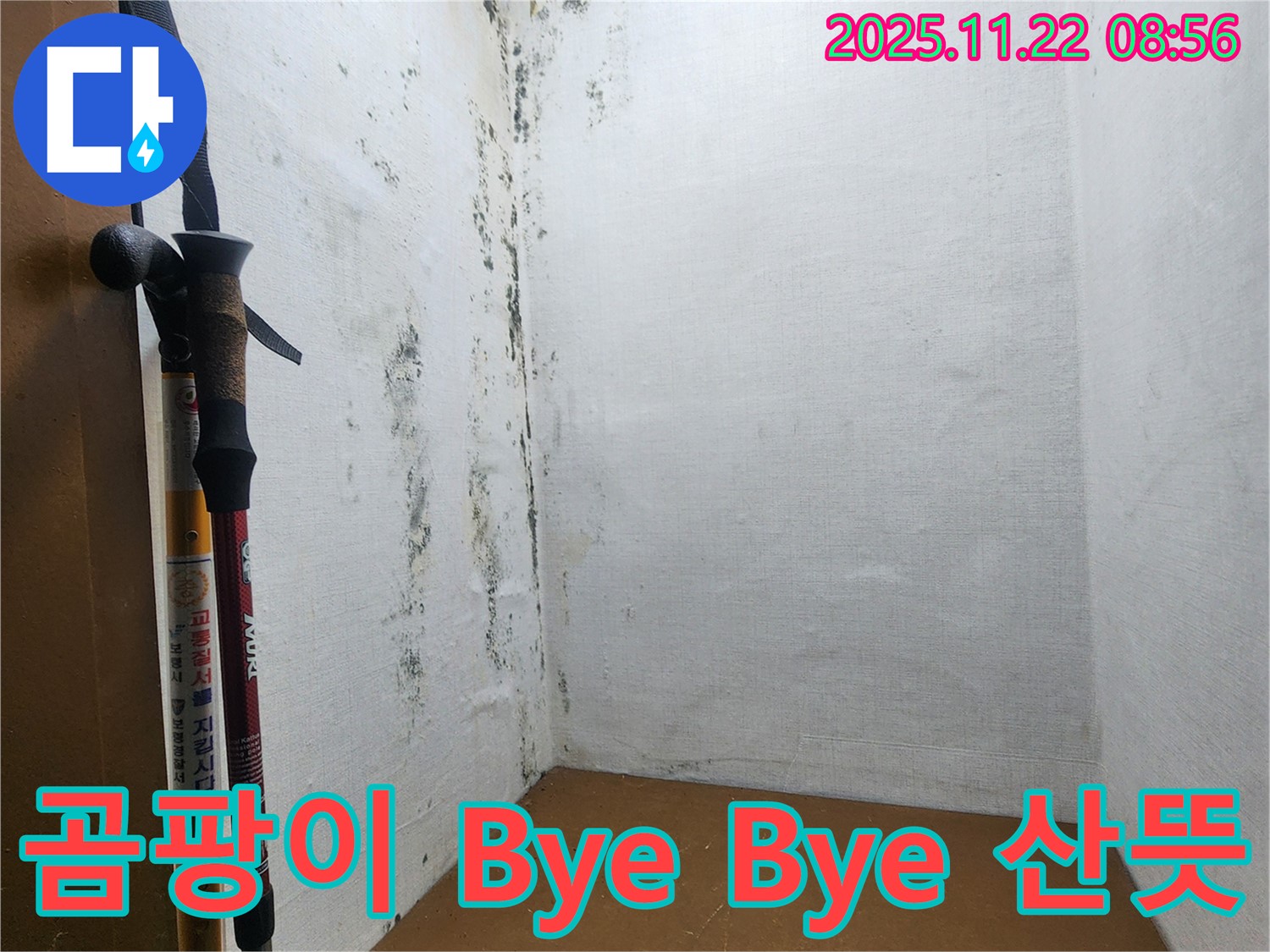 곰팡이 Bye Bye - 산뜻한 공간으로 변신!