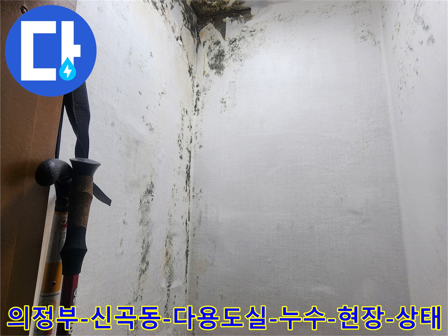 벽면-하단부의-심각한-곰팡이와-부식-진행