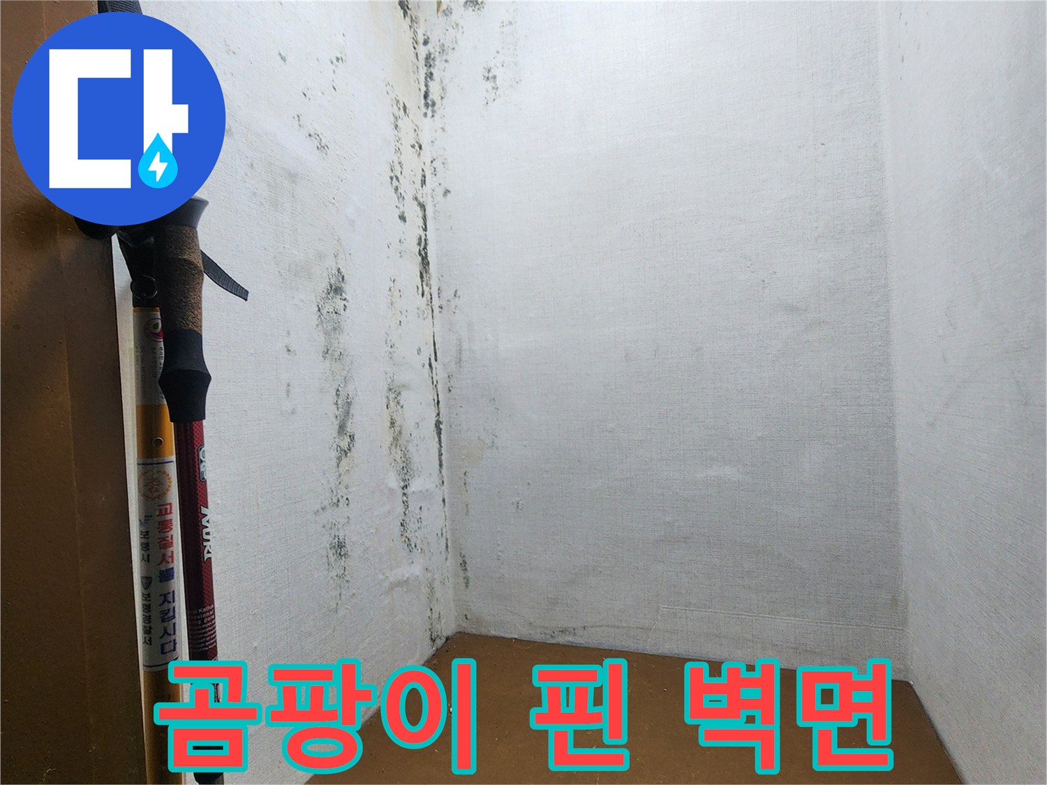 습기와-곰팡이로-오염된-다용도실-벽체