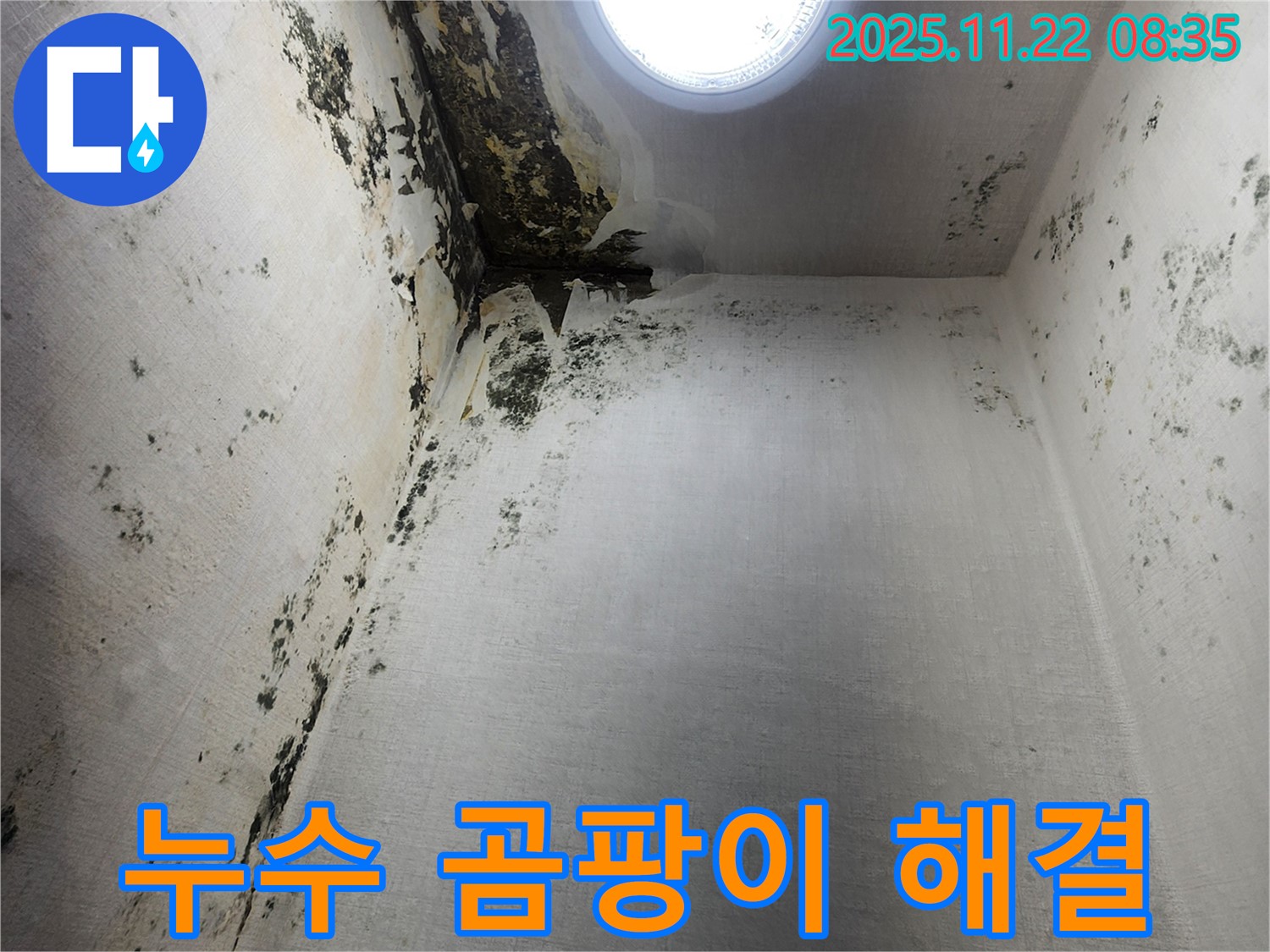 신곡동 누수 해결 - 곰팡이 문제 완벽 해결
