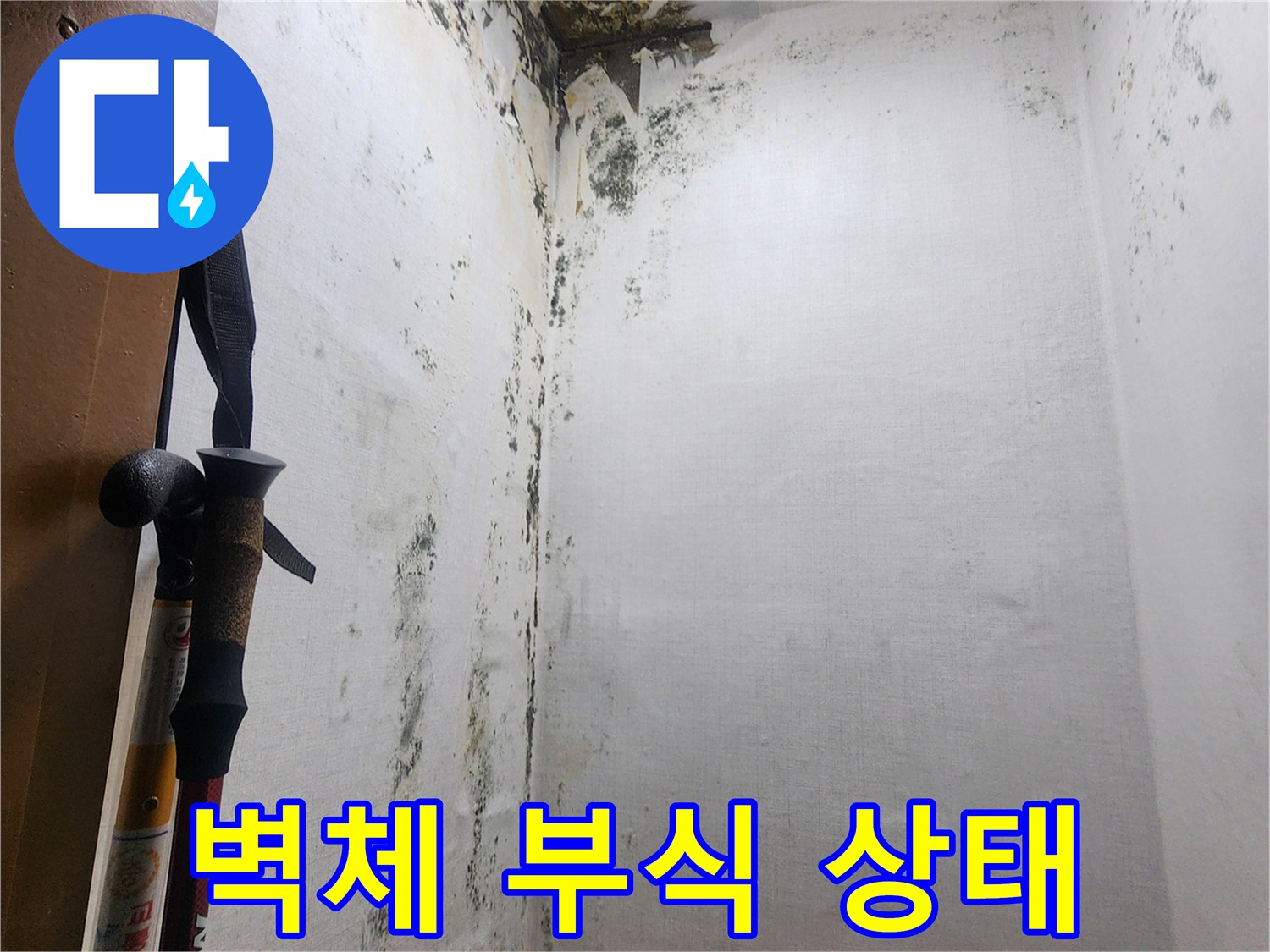 심하게-부식된-다용도실-벽면-및-곰팡이-상태