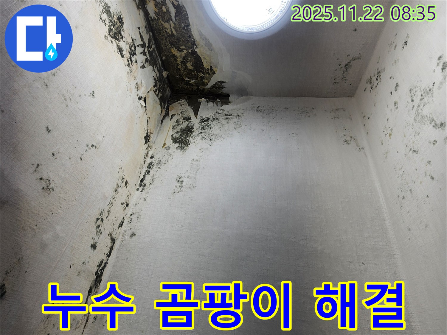 의정부 누수 전문가 - 신곡1동 곰팡이 문제 해결, 쾌적한 공간으로