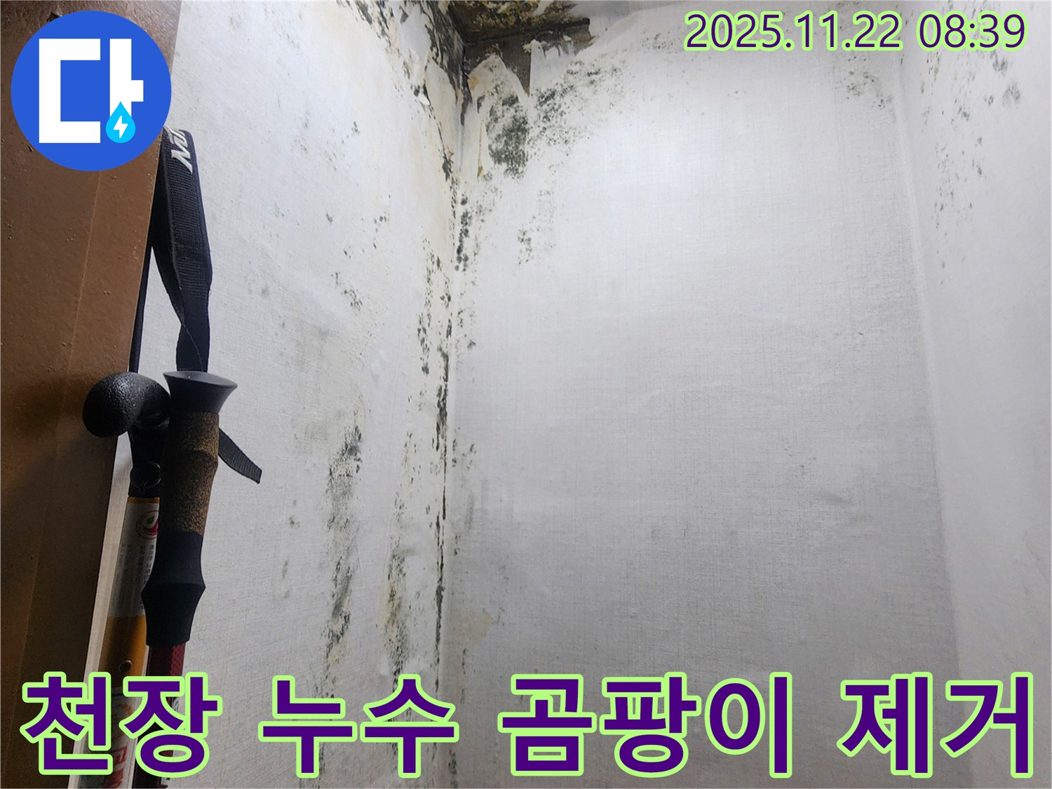 의정부 신곡동 천장 누수 - 곰팡이 제거 전후 사진으로 누수 해결 과정을 보여줍니다.